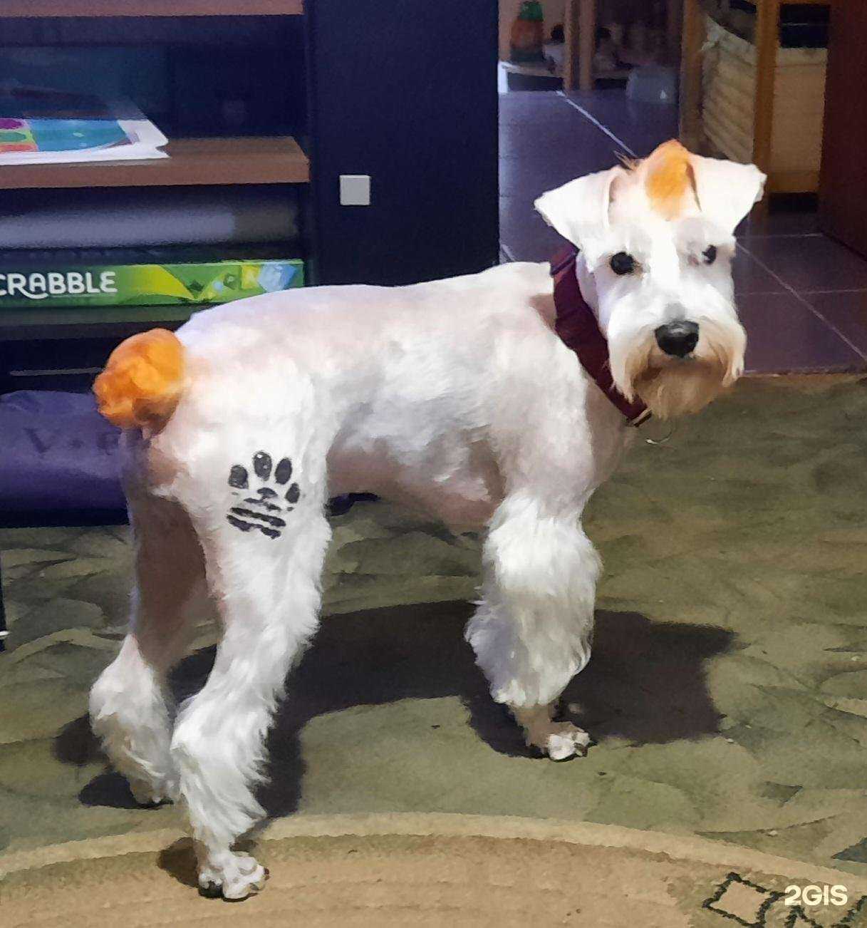 Отзывы на компанию Доктор Вет в Сочи c фото