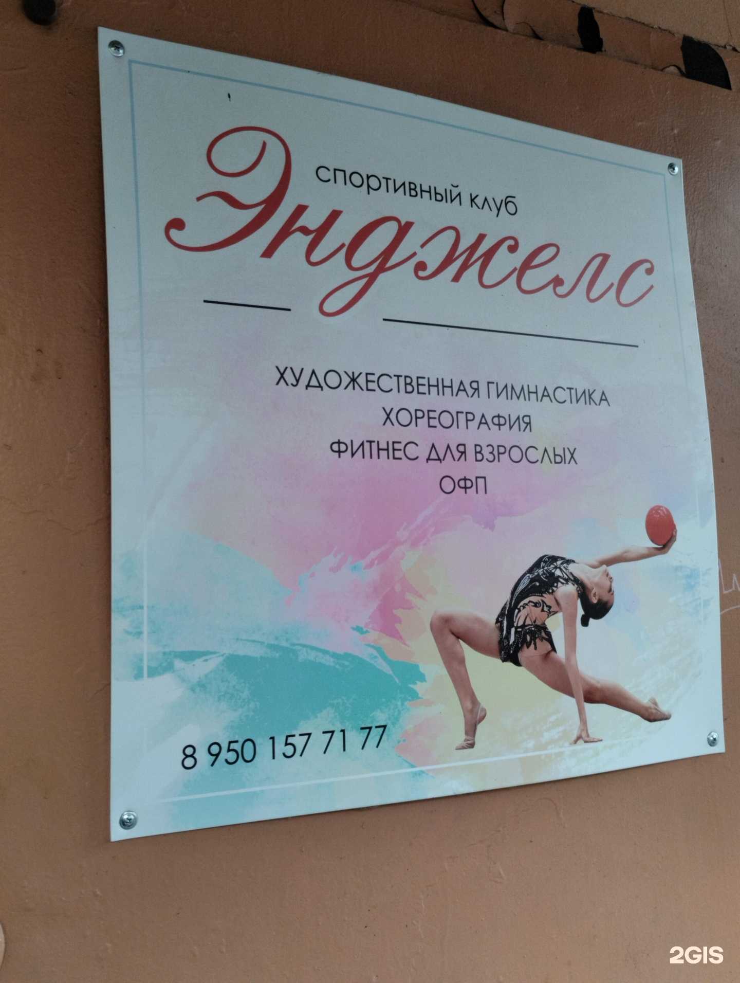 Отзывы на компанию Энджелс в Сарапуле c фото