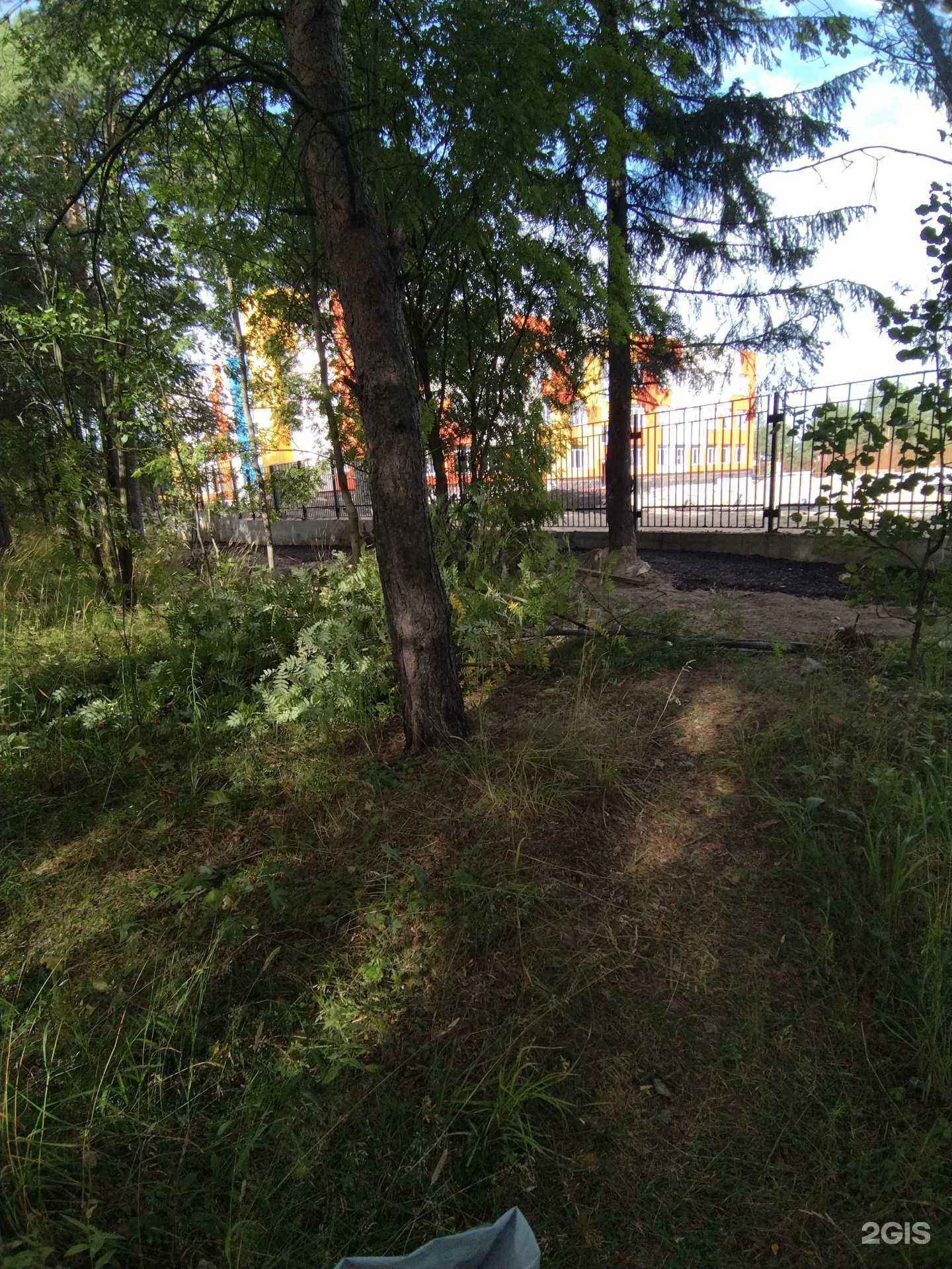 Отзывы на компанию Золотой ключик в г. Петрозаводск c фото