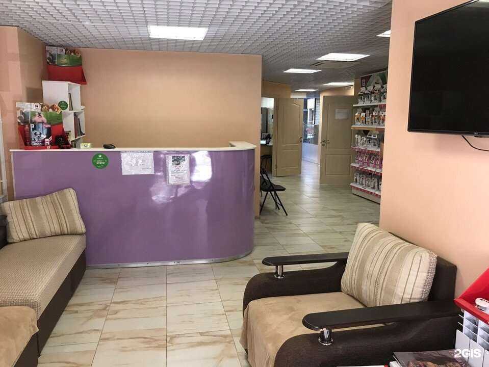 Отзывы на компанию Мир животных в г. Воронеж c фото