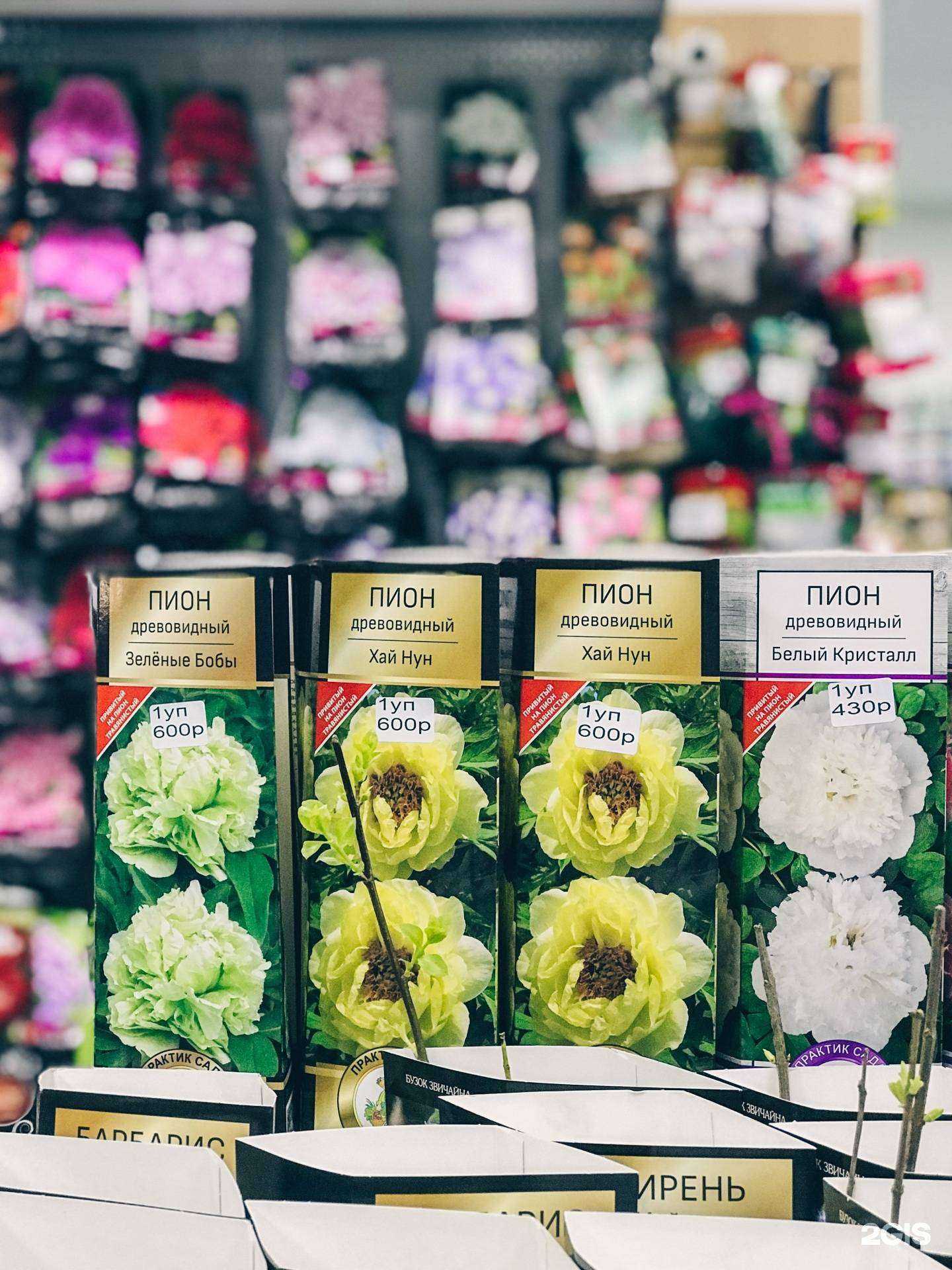 Отзывы на компанию Удачный сад в Иркутске c фото