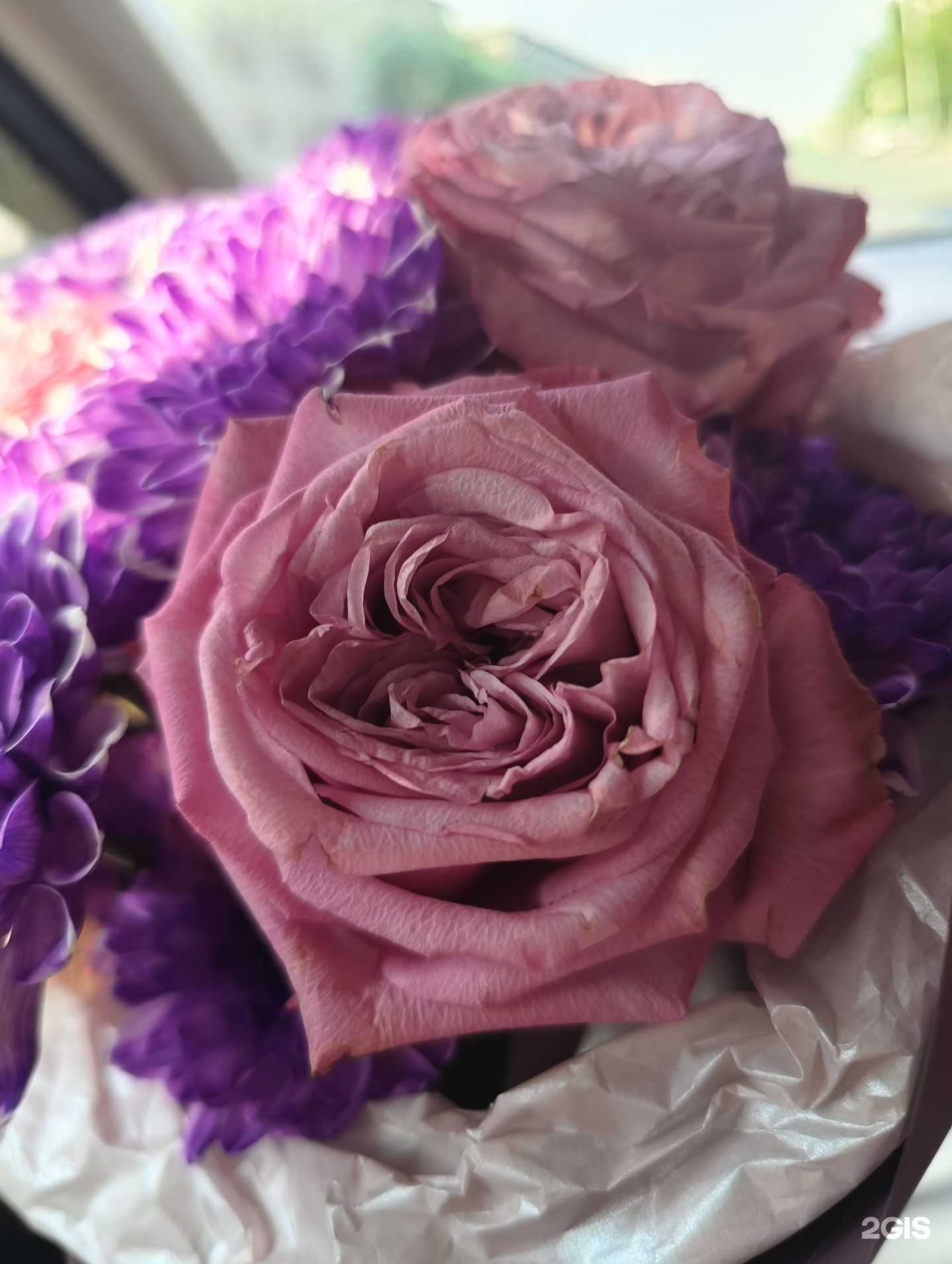 Отзывы на компанию Цветочный салон в Новосибирске c фото