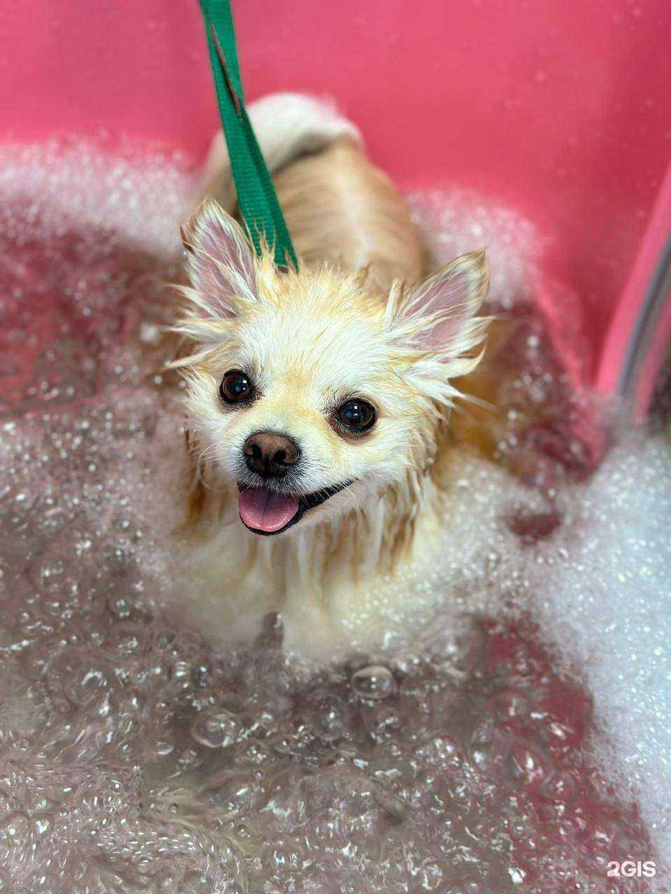 Отзывы на компанию Groom в г. Ростов-на-Дону c фото