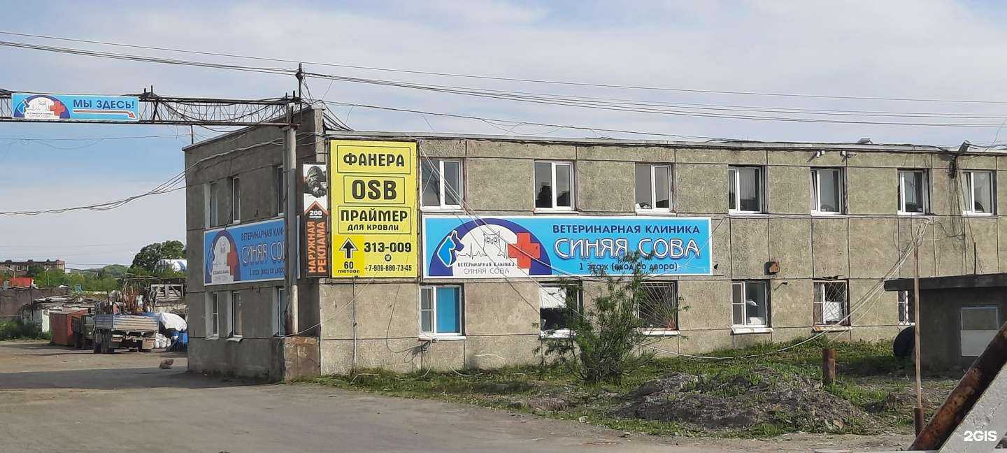 Отзывы на компанию Синяя Сова в Петропавловске-Камчатском c фото - фотография 2 из 2