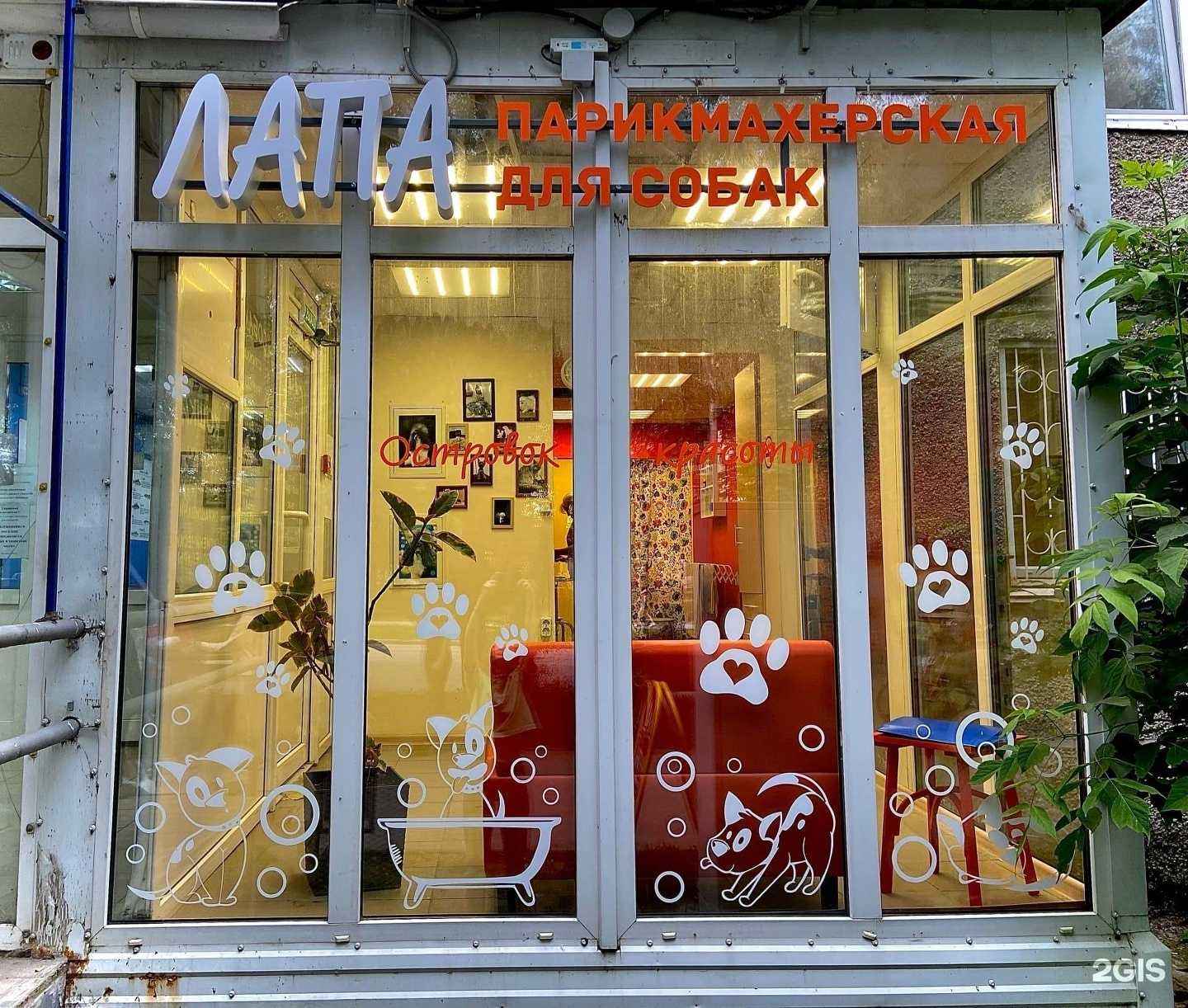 Отзывы на компанию Лапа в Перми c фото