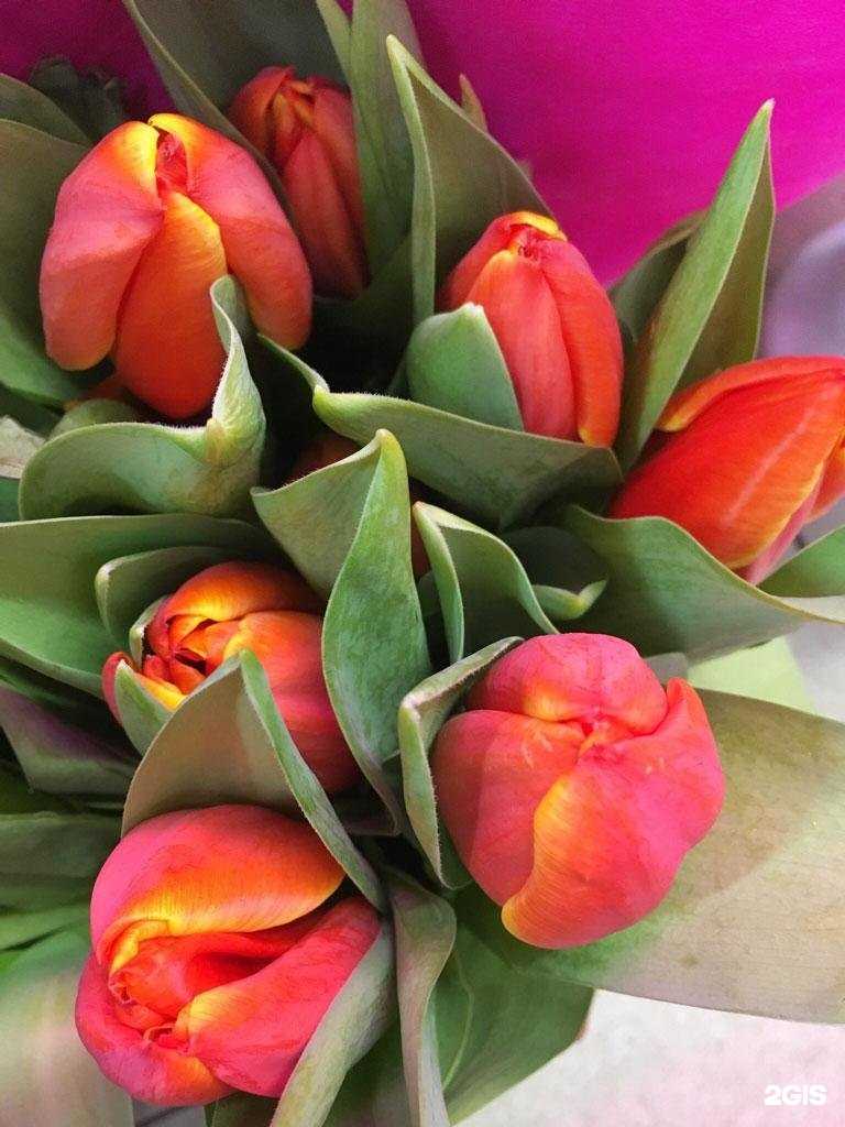 Отзывы на компанию Felicita в г. Луховицы c фото