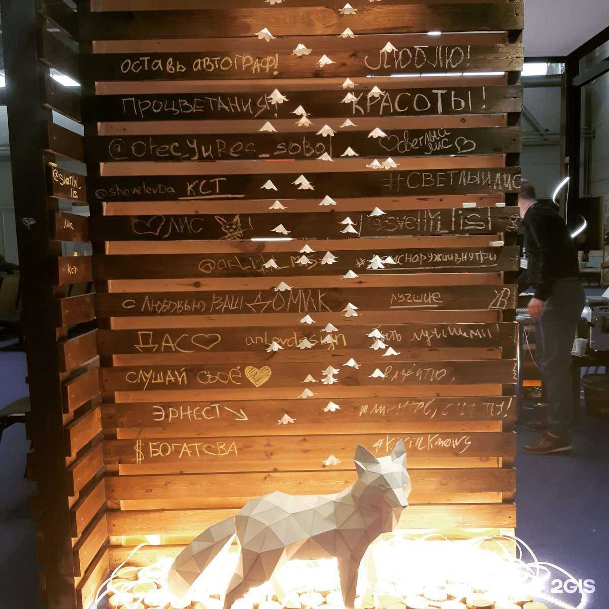 Отзывы на компанию Светлый лис в Красноярске c фото