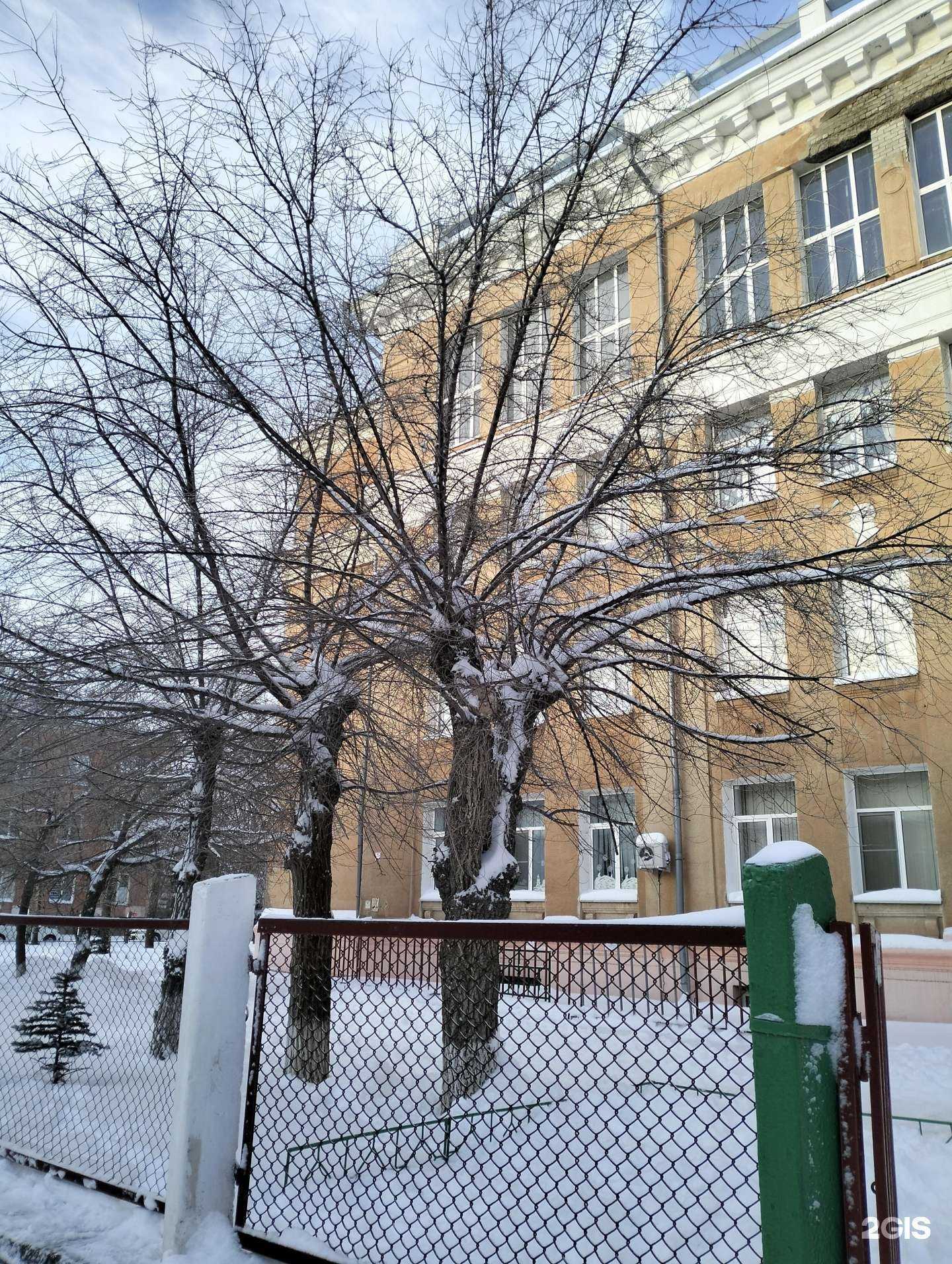 Отзывы на компанию Волга-спорт в г. Волжский c фото