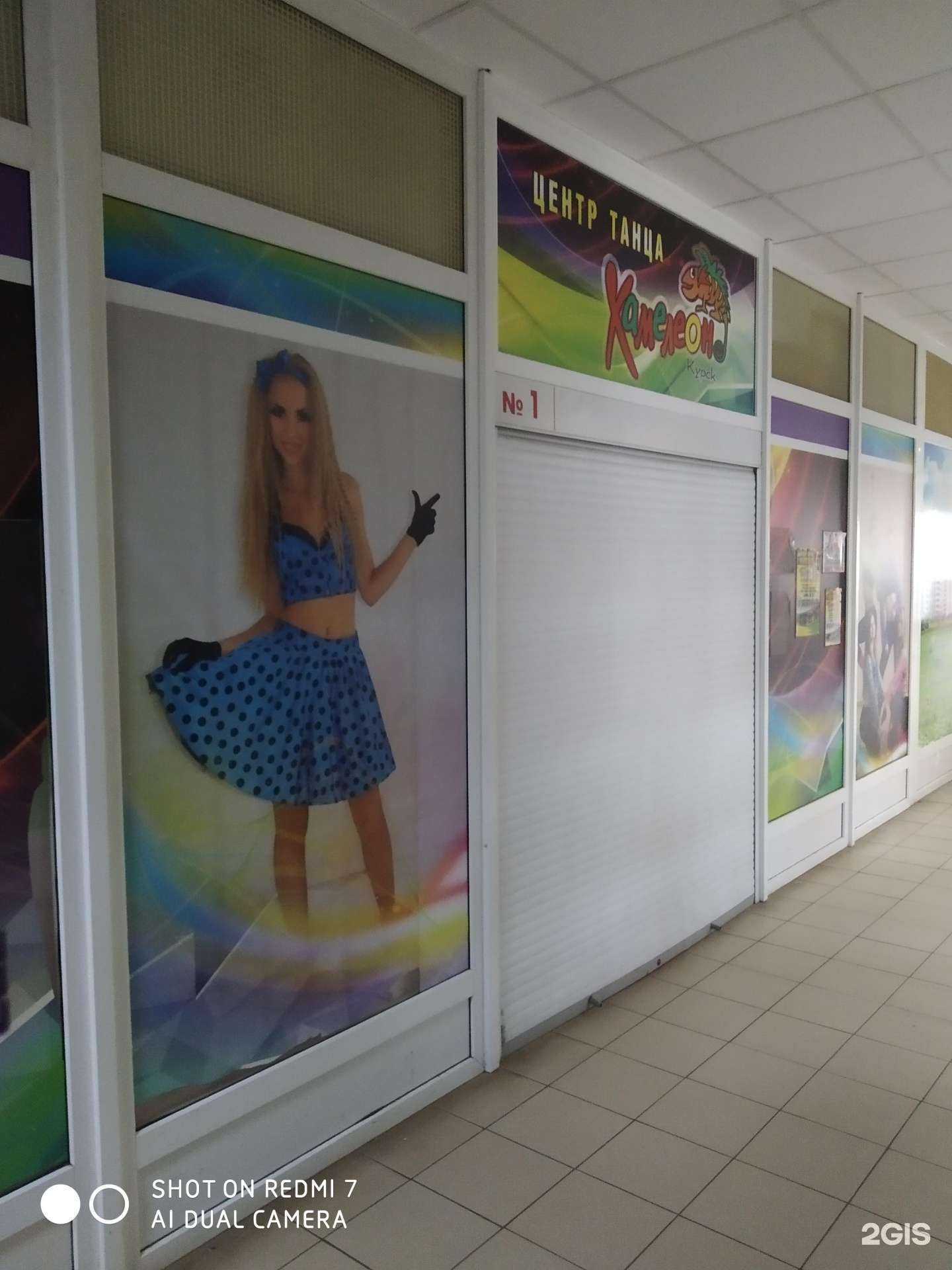 Отзывы на компанию Хамелеон в г. Курск c фото