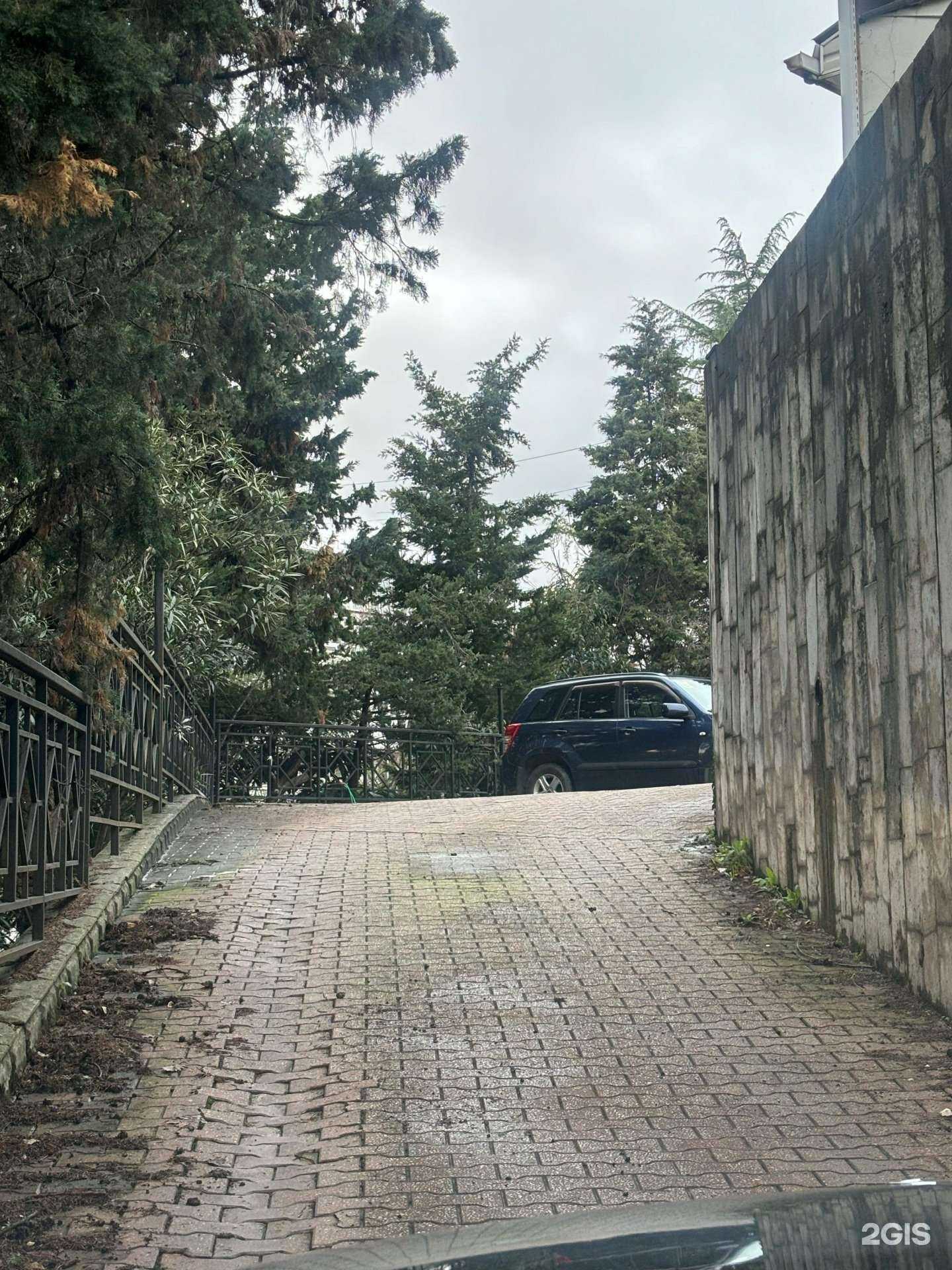 Отзывы на компанию Парадиз в Сочи c фото