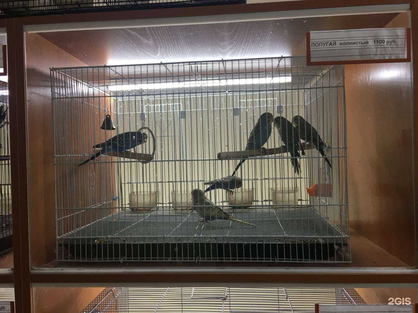 Отзывы на компанию Золотая рыбка в Абакане c фото