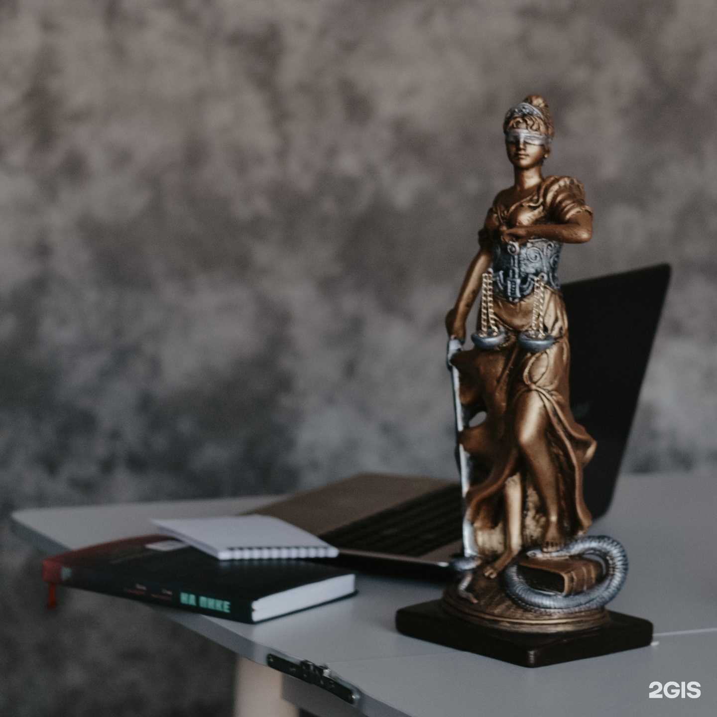 Отзывы на компанию Дигеста 27 в Хабаровске c фото