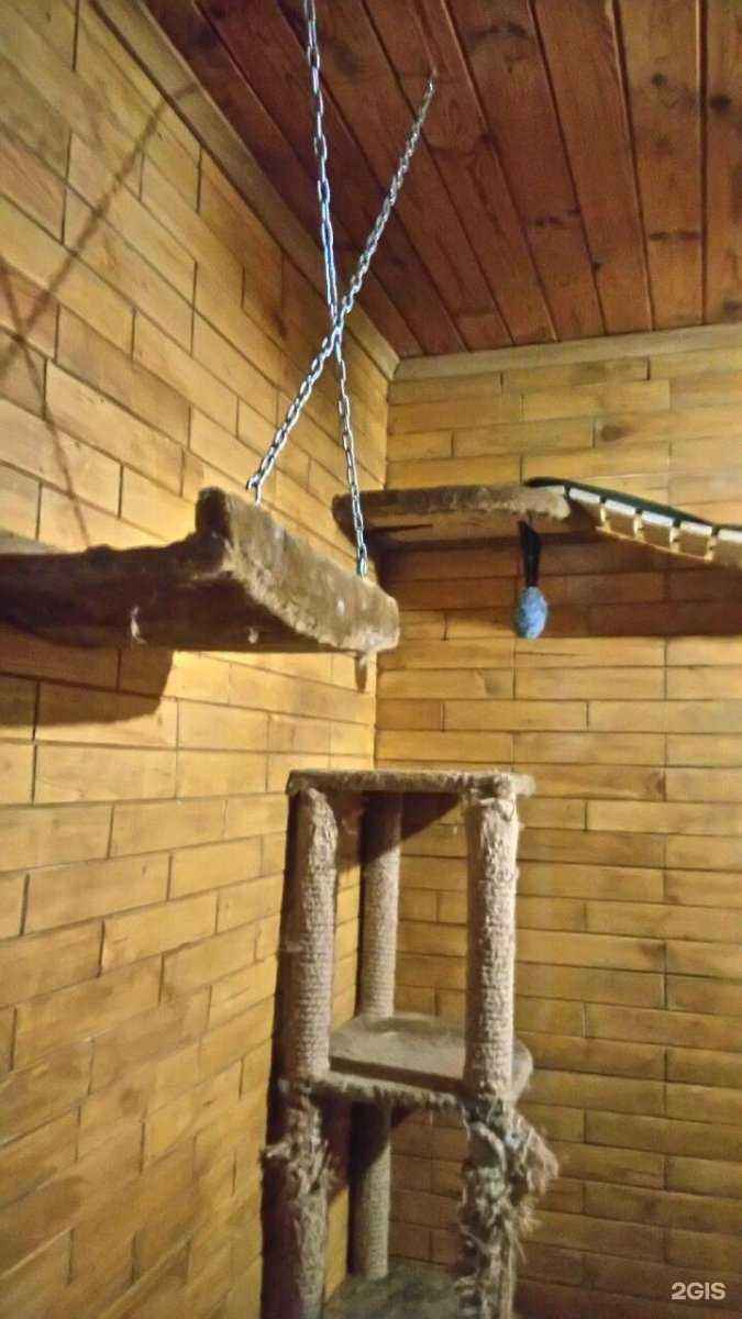 Отзывы на компанию Домашний очаг в Владивостоке c фото