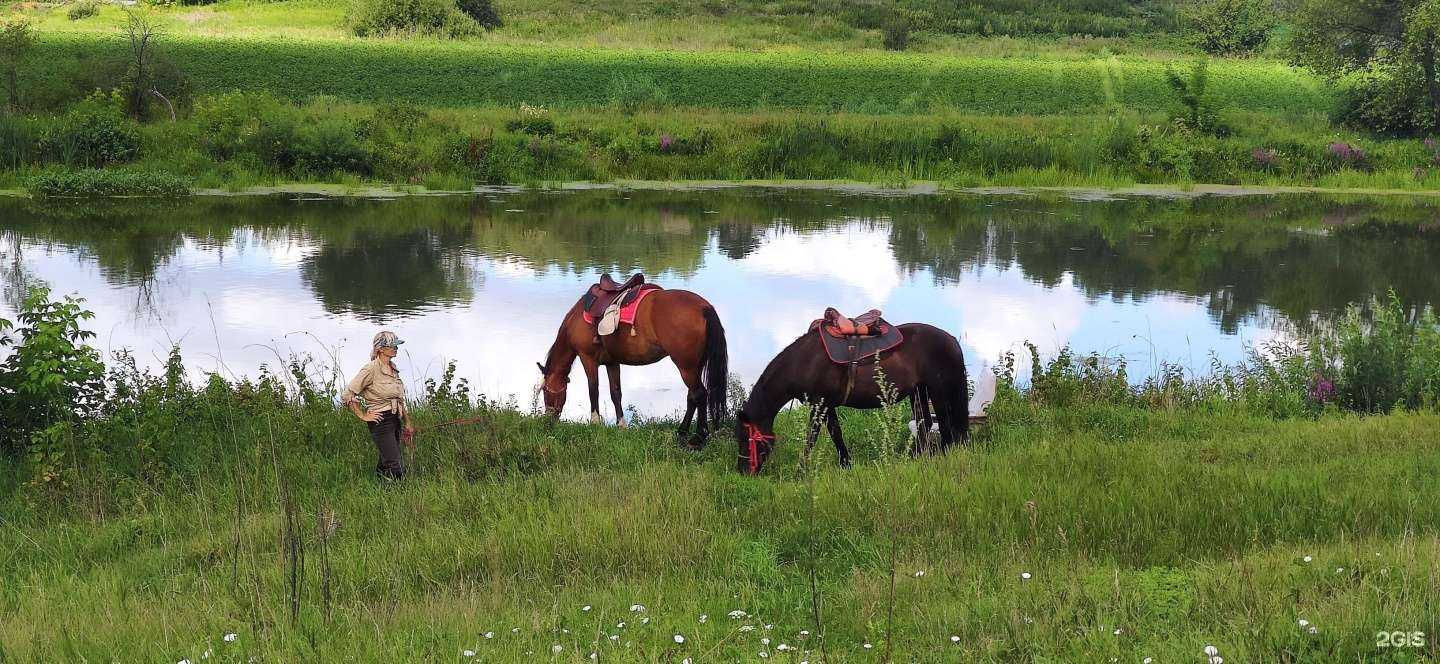 Отзывы на компанию Конный дворик в г. Каменск-Уральский c фото