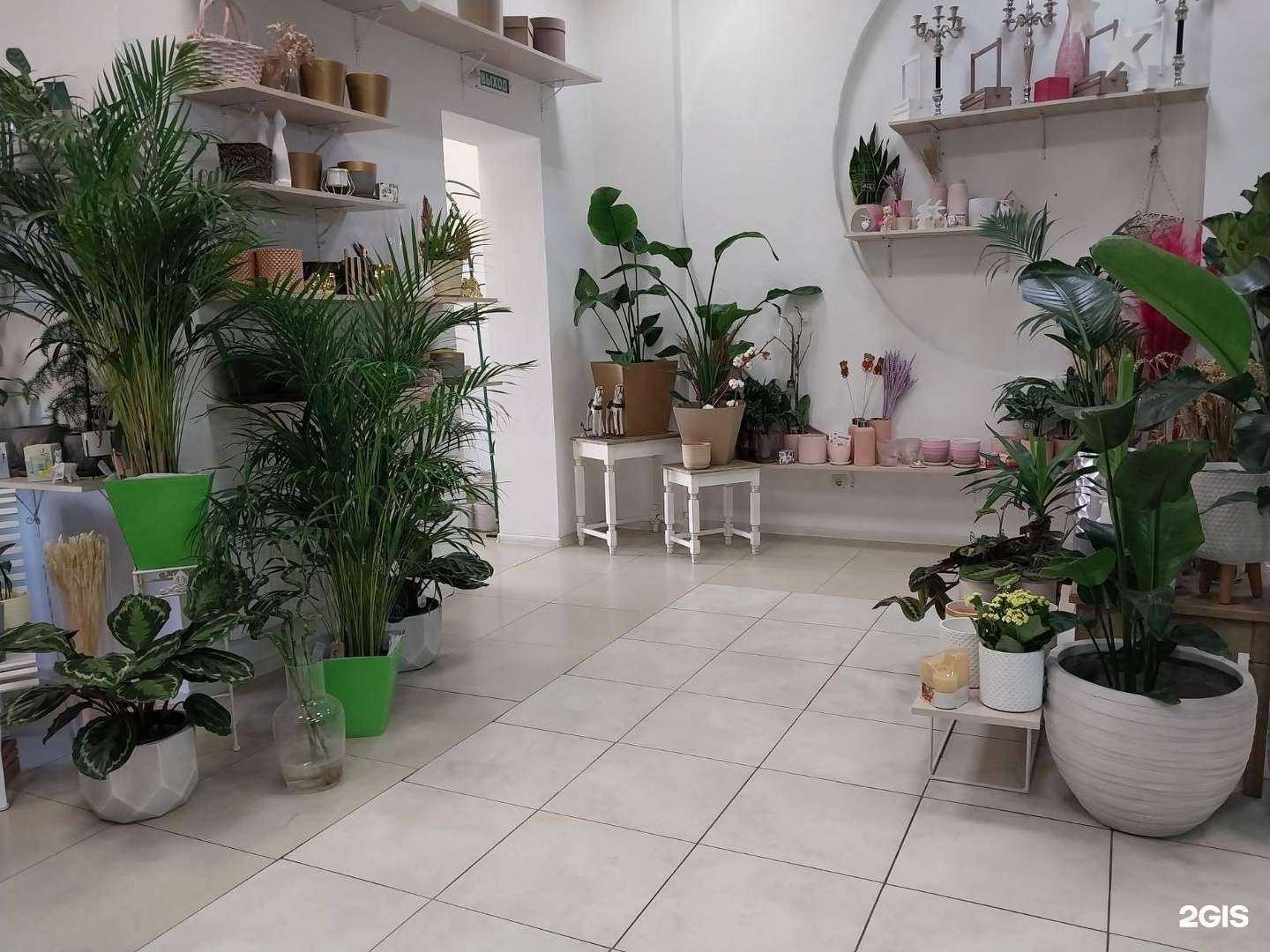 Отзывы на компанию Розенштрассе  в Калининграде c фото