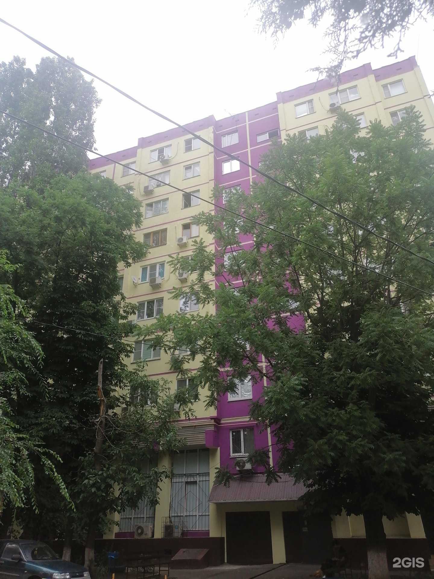 Отзывы на компанию РостВет в Ростове-на-Дону c фото - фотография 2 из 2