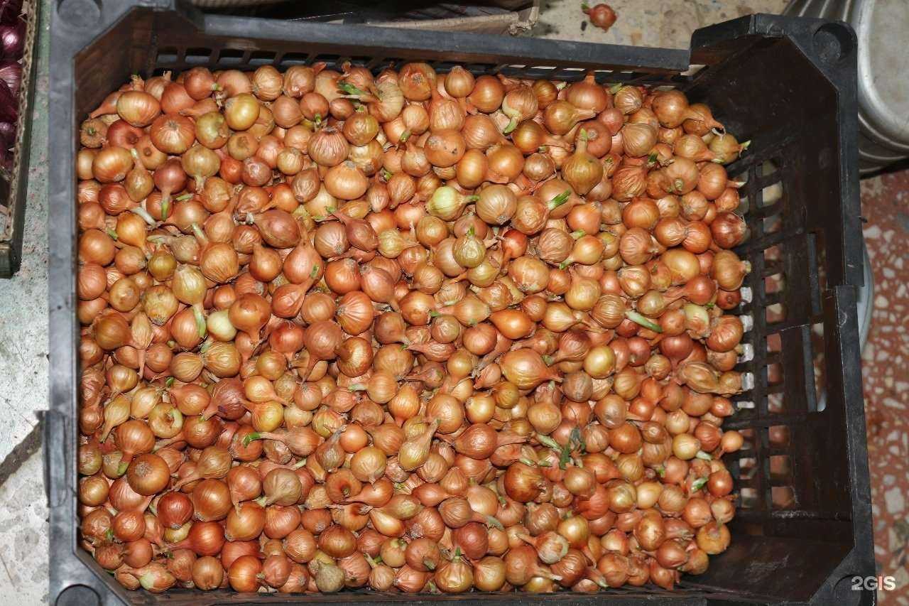 Отзывы на компанию Точка-Цветочка в Кургане c фото