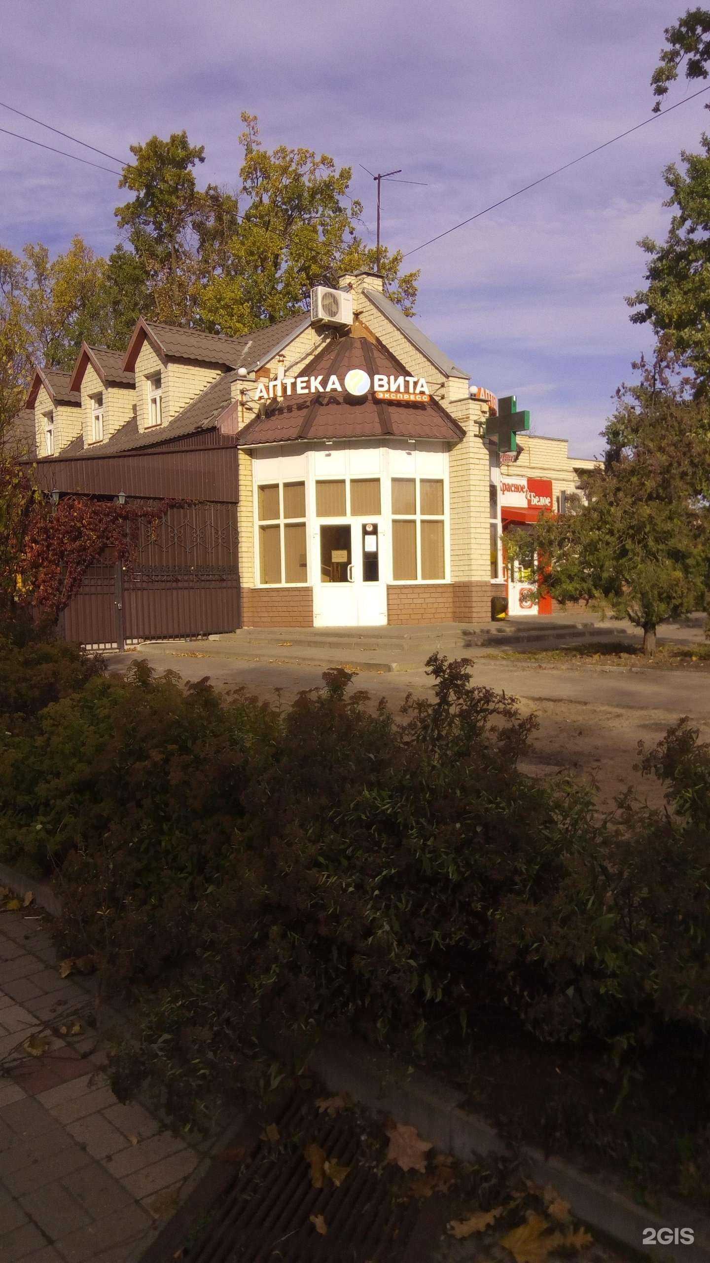 Отзывы на компанию Вита Экспресс в Белгороде c фото