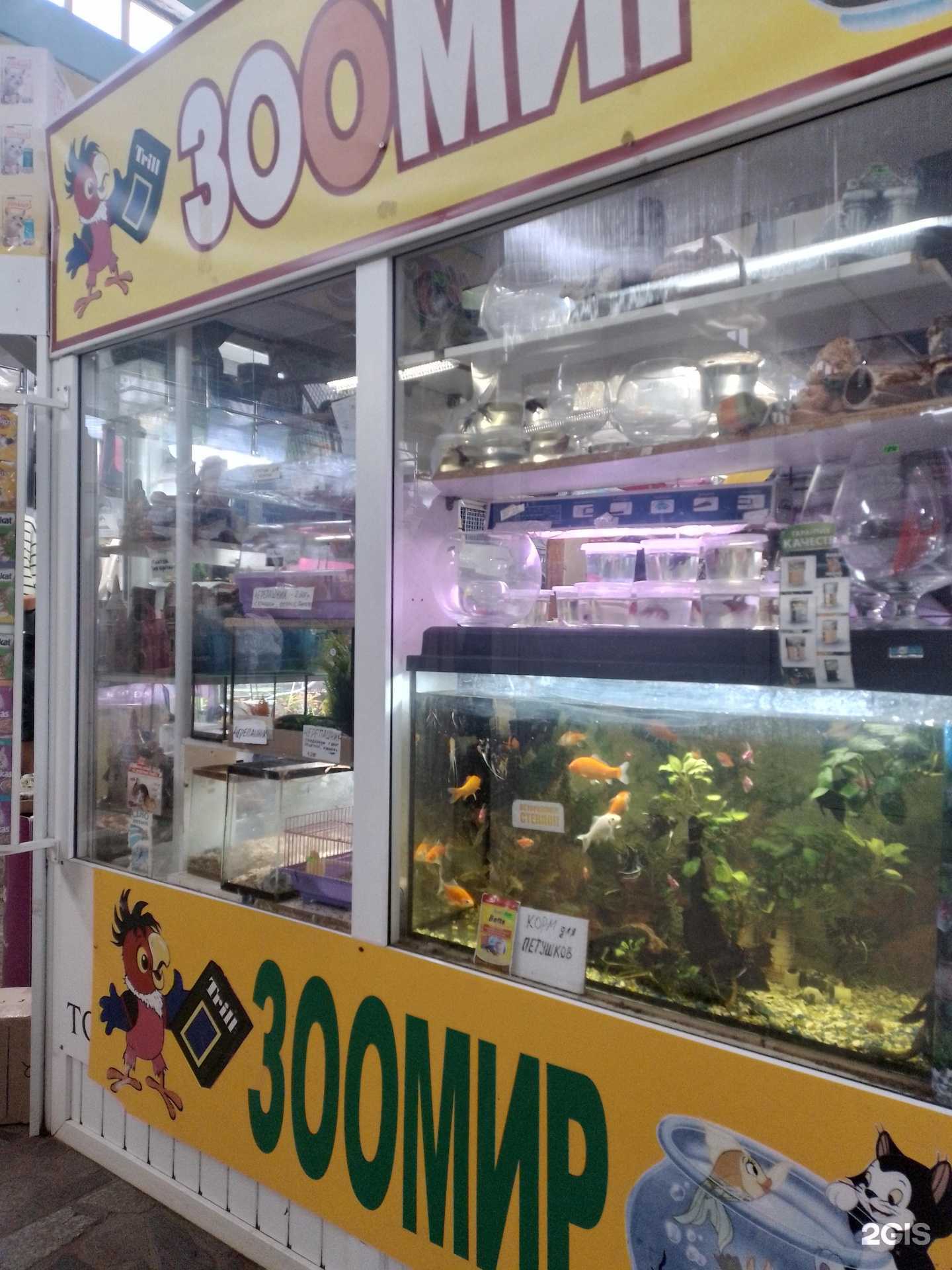 Отзывы на компанию Зоомир в г. Чебоксары c фото