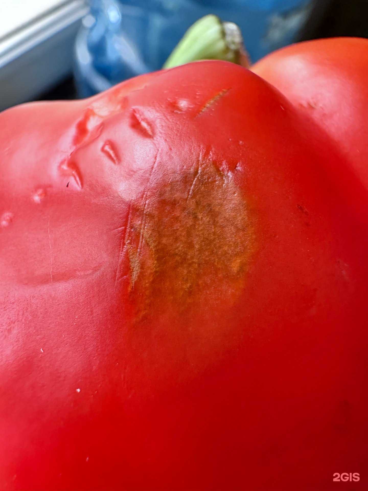 Отзывы на компанию Самокат в Челябинске c фото