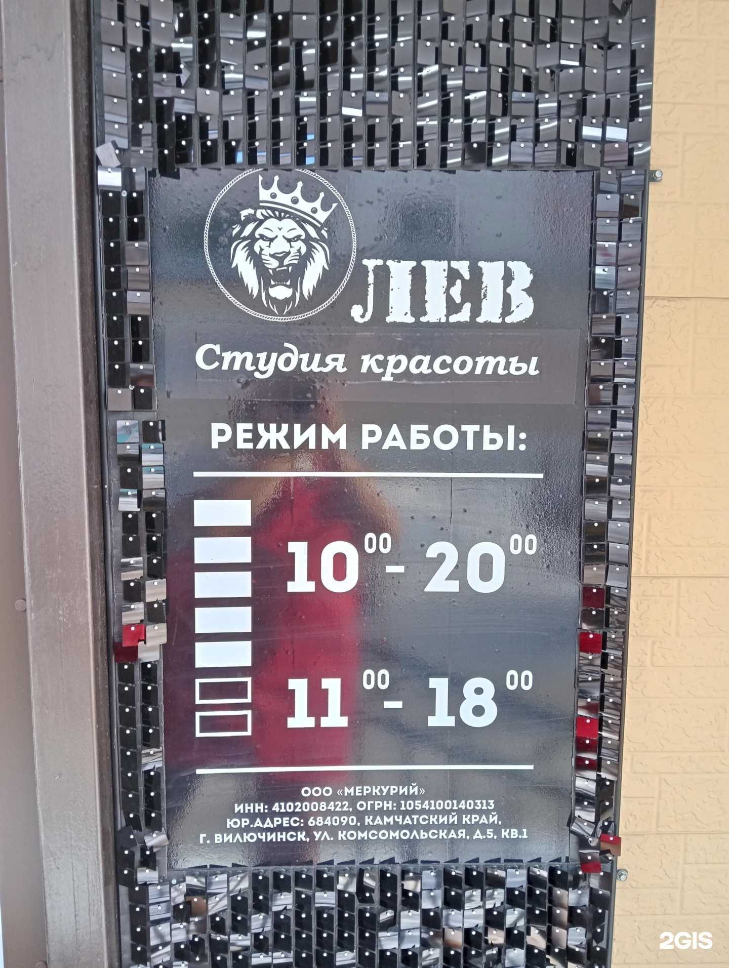 Отзывы на компанию Лев в Вилючинске c фото