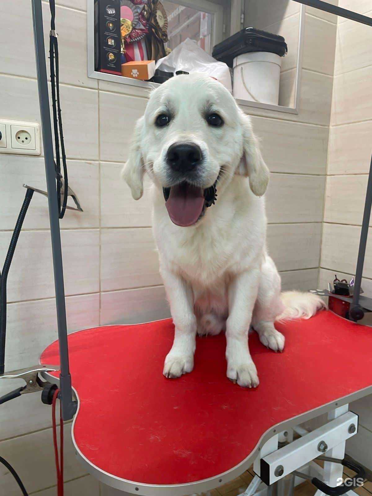 Отзывы на компанию Из Сибирского Княжества в г. Омск c фото