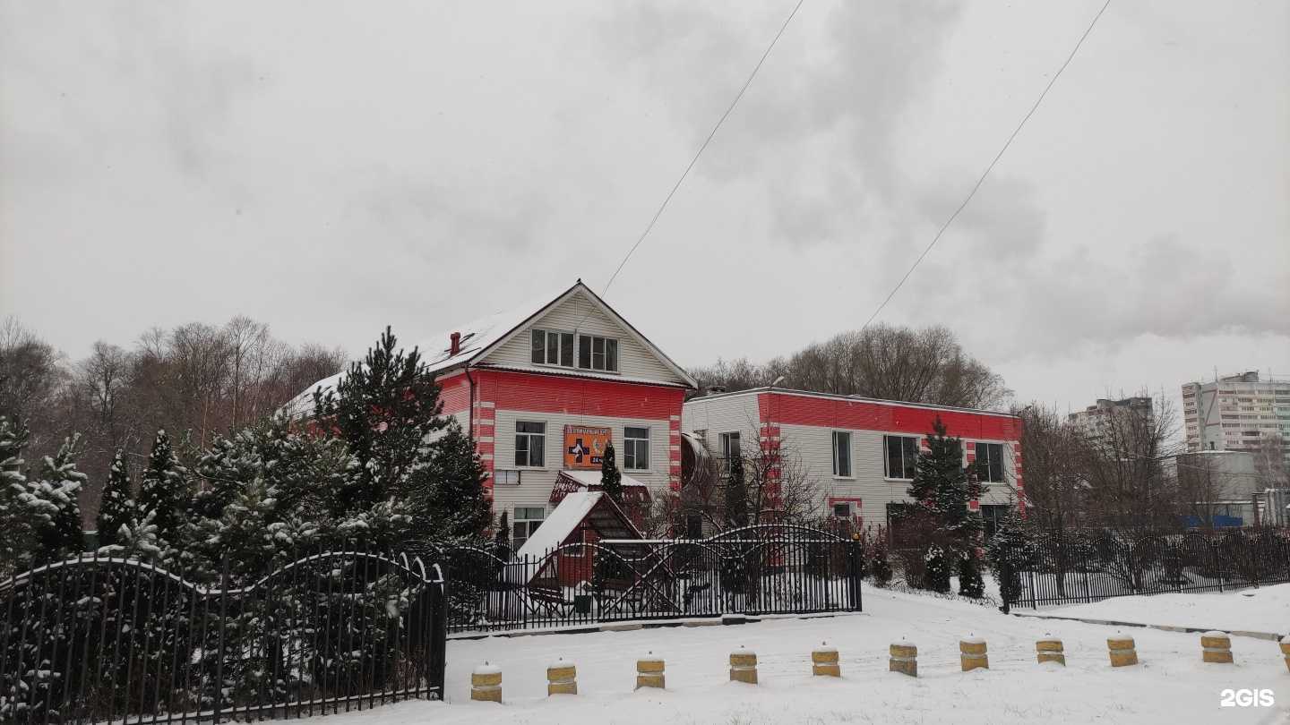 Отзывы на компанию Флора в Лобне c фото - фотография 2 из 2