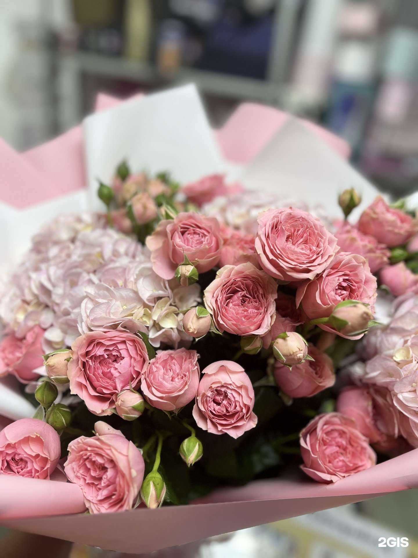 Отзывы на компанию Флорис в Сочи c фото