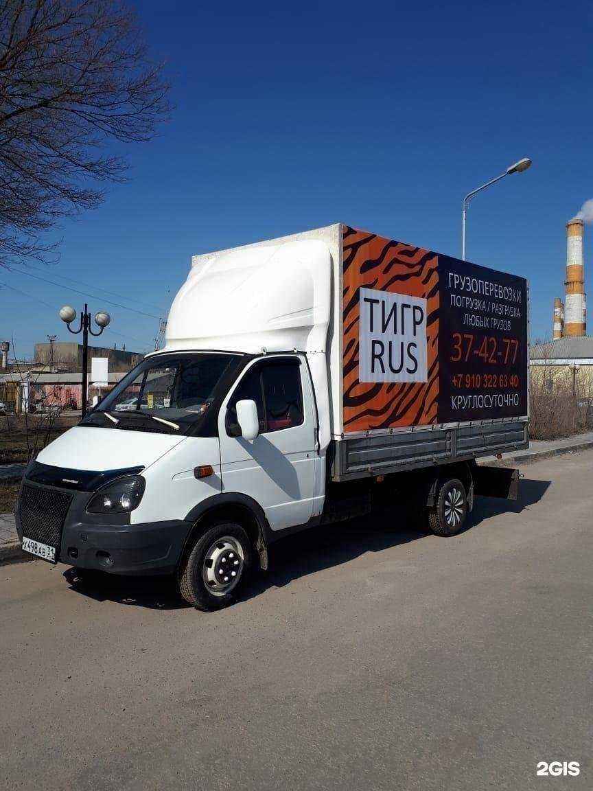 Отзывы на компанию Тигрус в г. Белгород c фото