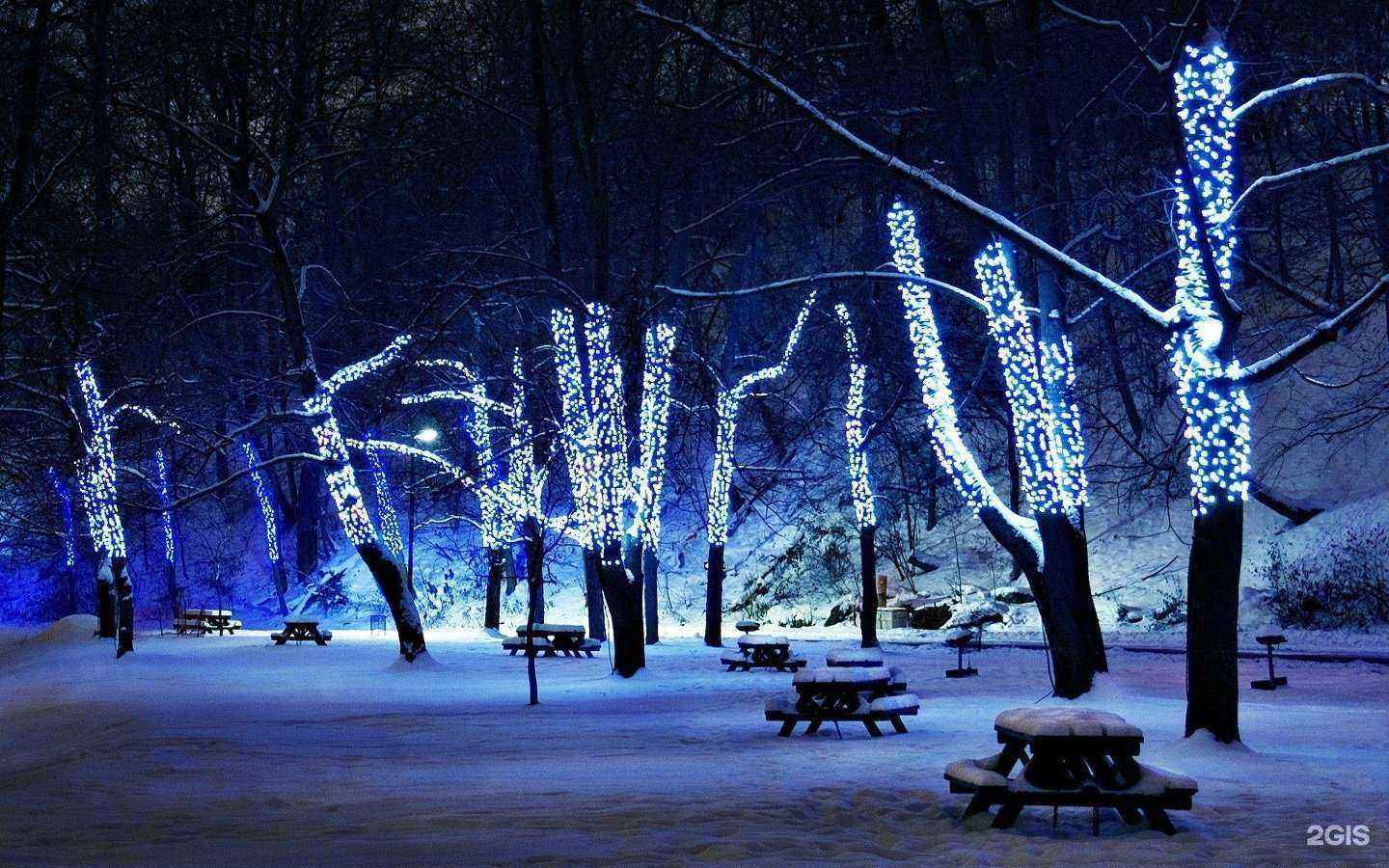 Отзывы на компанию Светлячок в Курске c фото