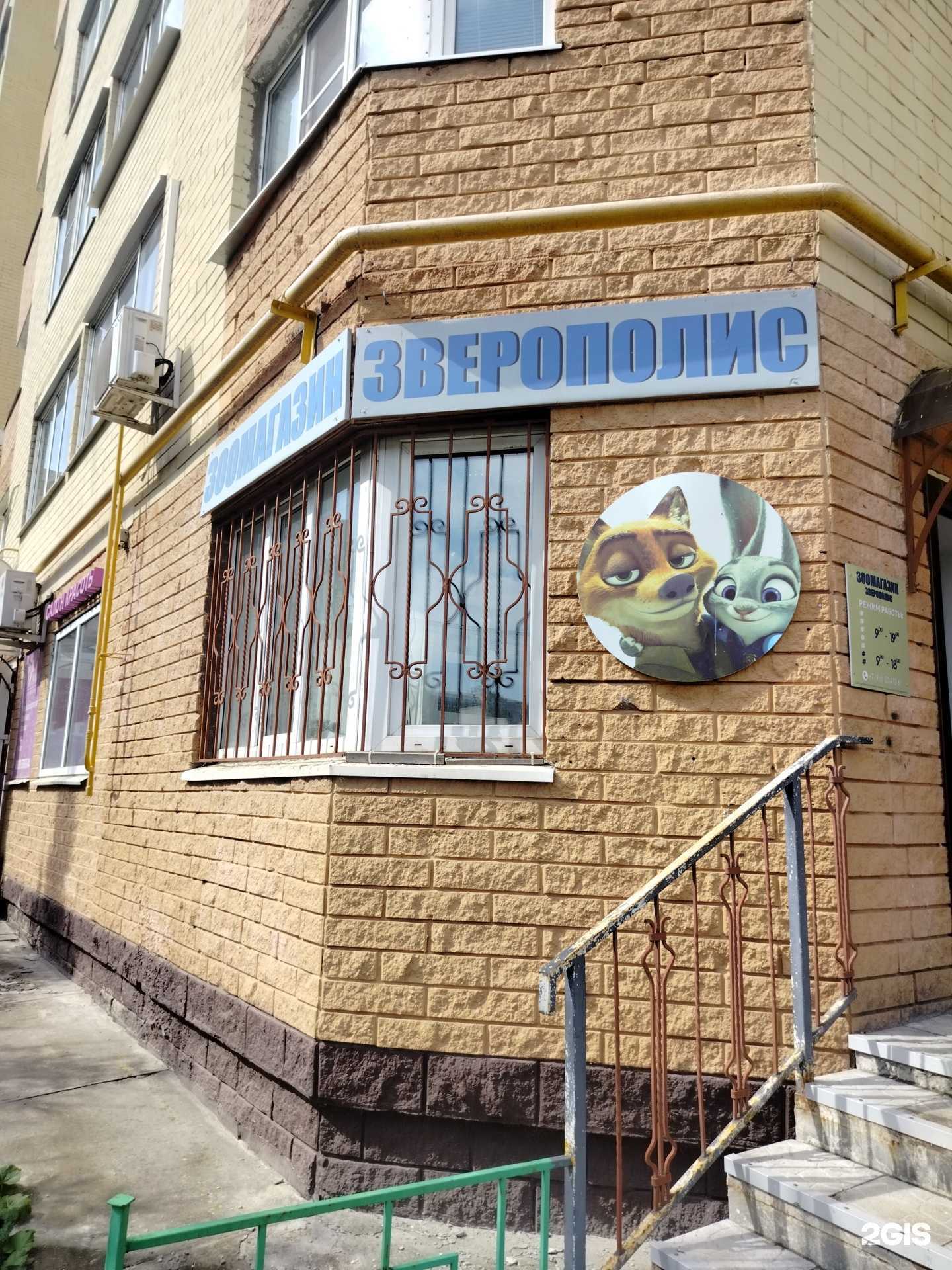 Отзывы на компанию Зверополис в Коломне c фото