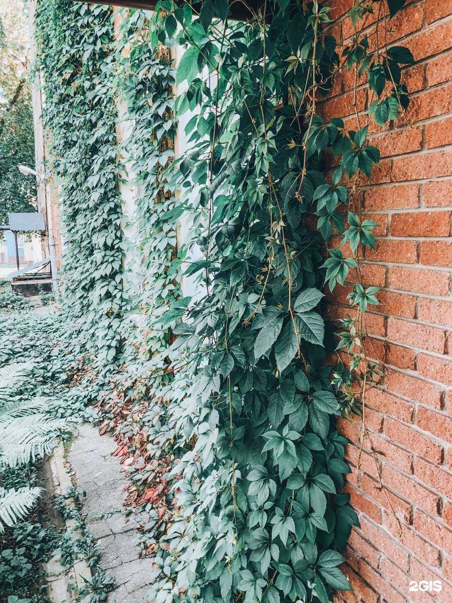 Отзывы на компанию Кванториум в Нижнем Новгороде c фото - фотография 2 из 2