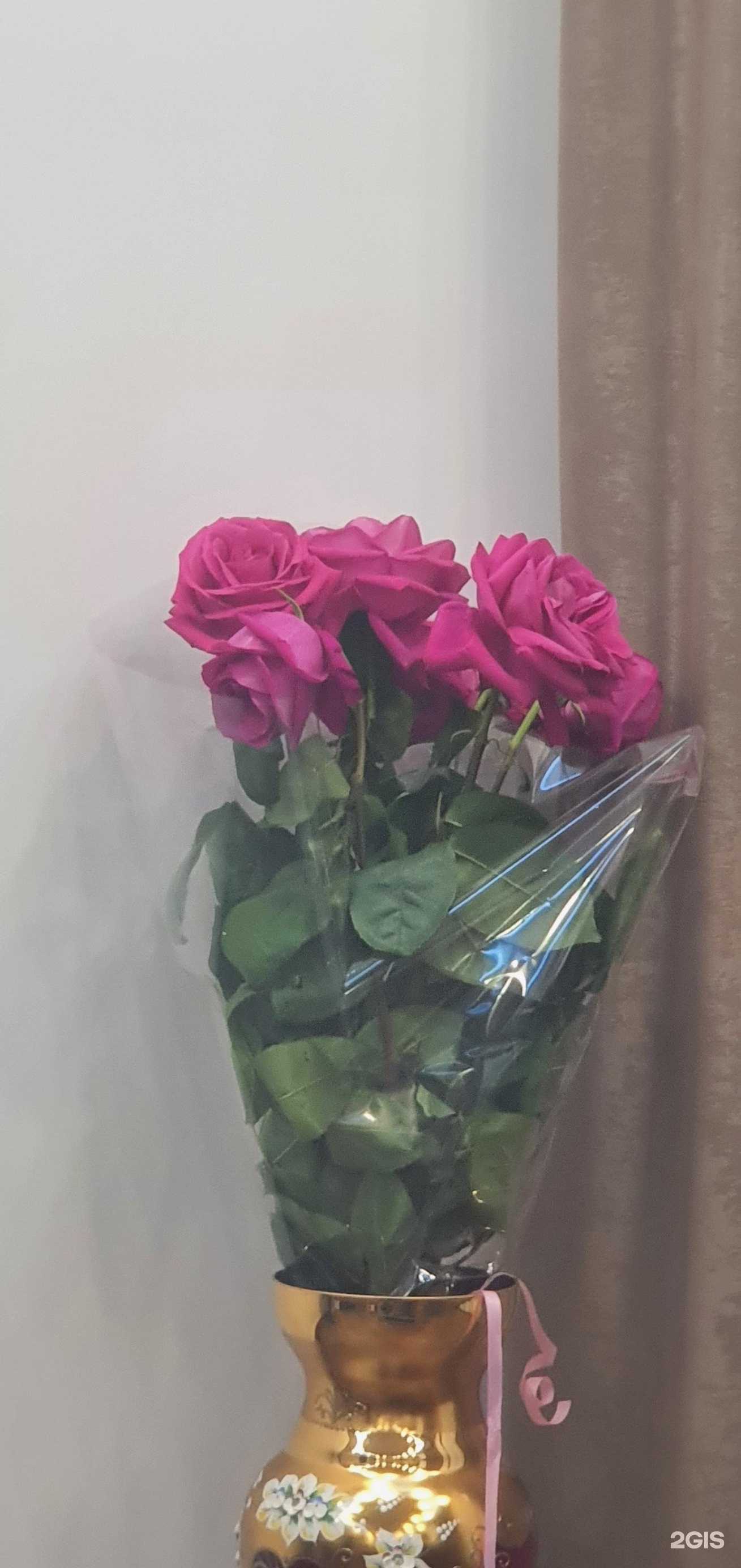 Отзывы на компанию Цветочный магазин в г. Новороссийск c фото
