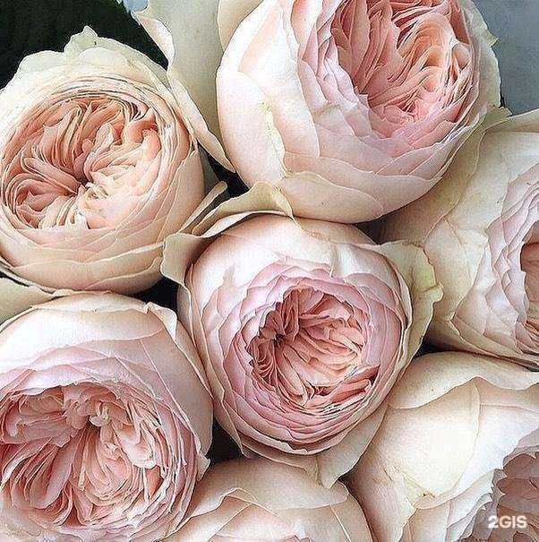 Отзывы на компанию Прованс в Реутове c фото