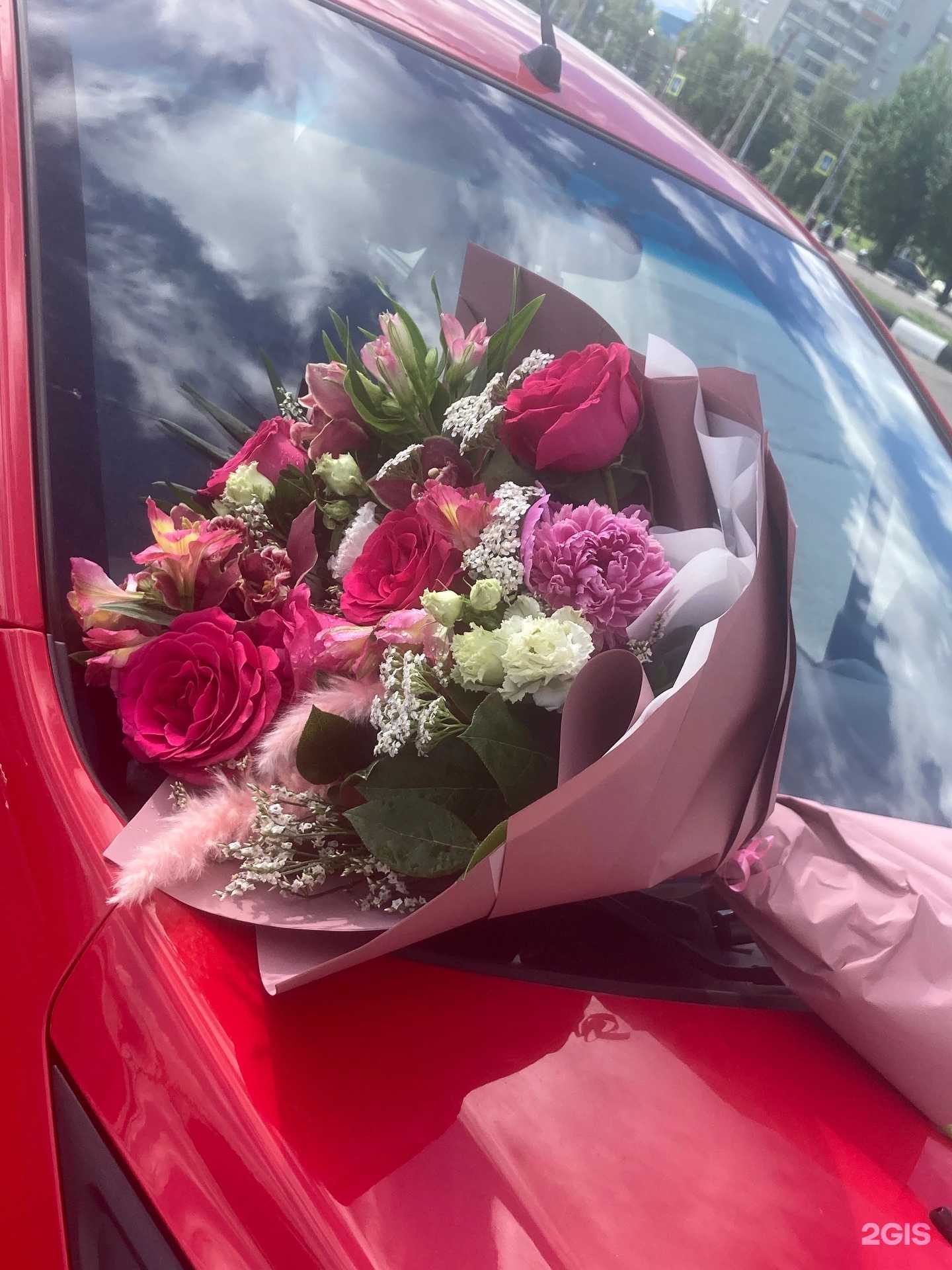 Отзывы на компанию Mona rose в Ярославле c фото