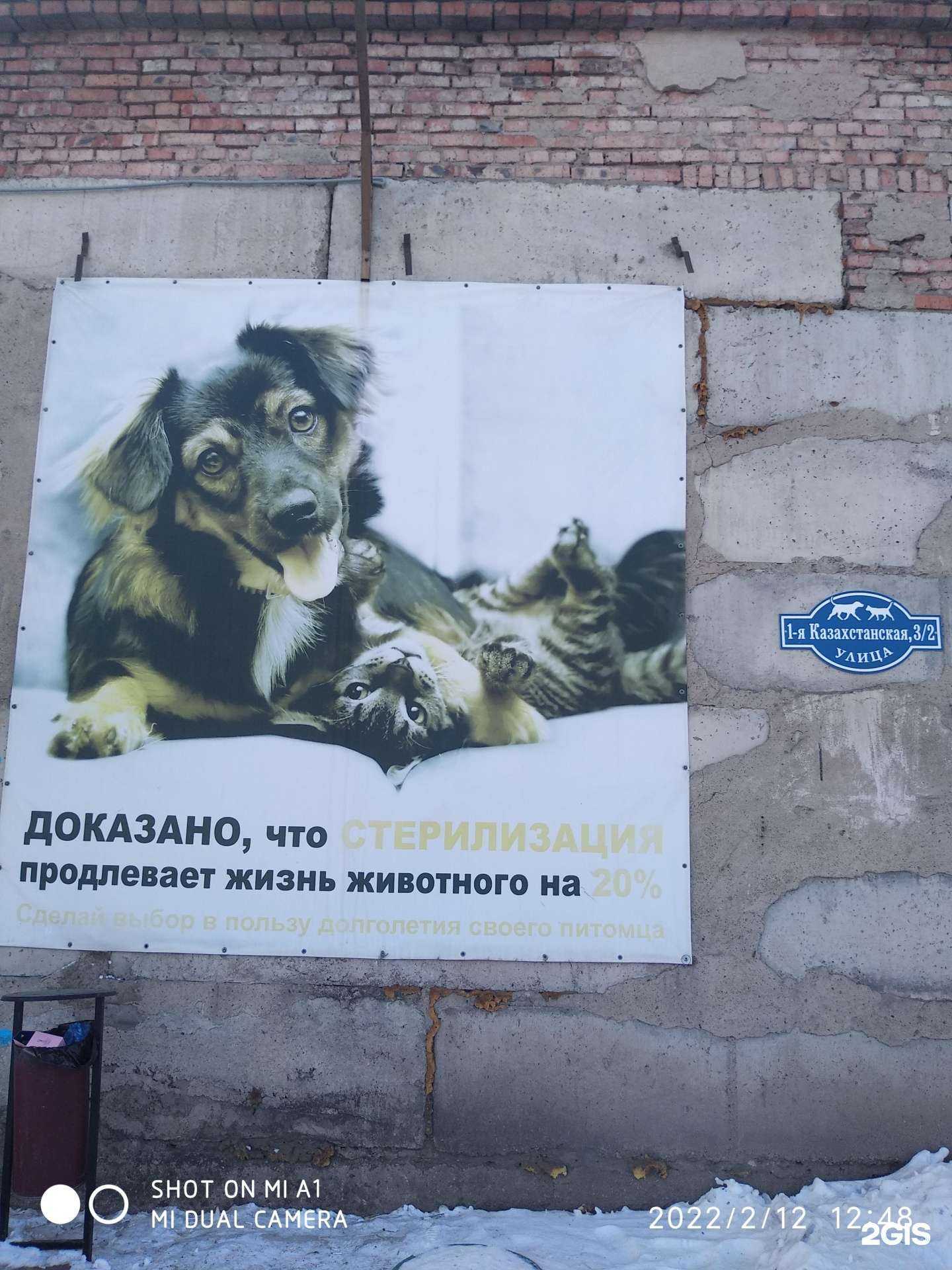 Отзывы на компанию Омские хвостики в Омске c фото - фотография 2 из 2