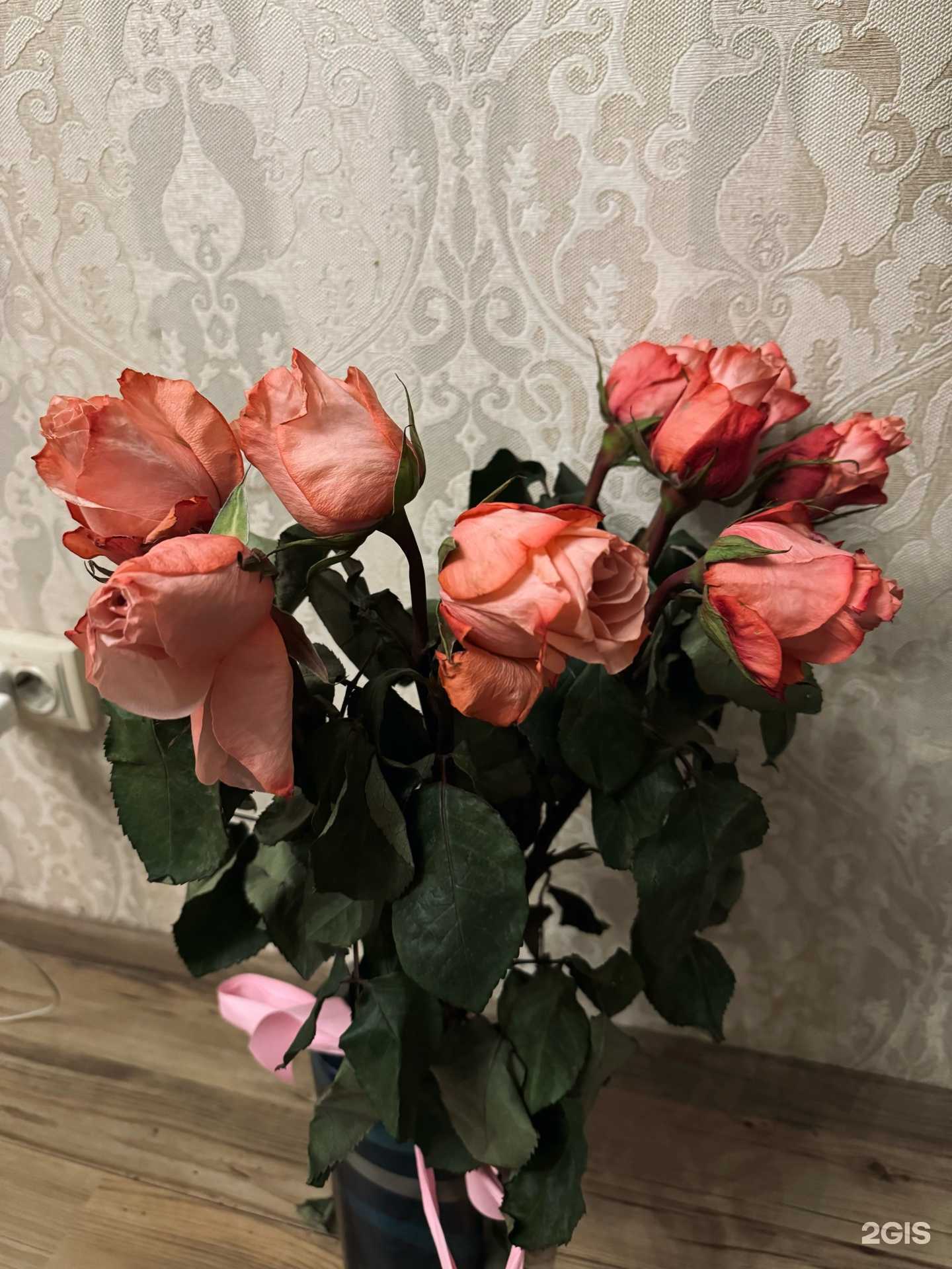 Отзывы на компанию Роза ДВ в Владивостоке c фото