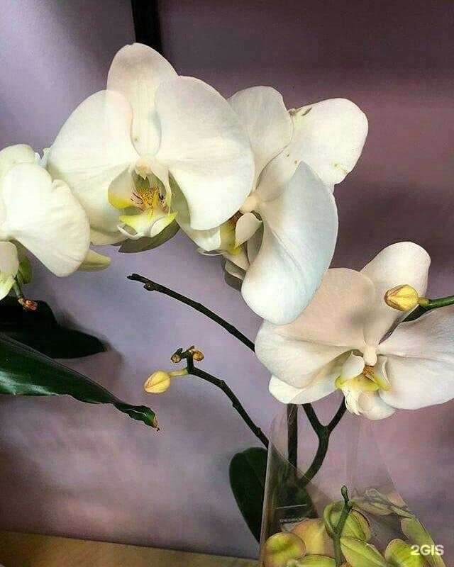 Отзывы на компанию Гран При в Балашихе c фото