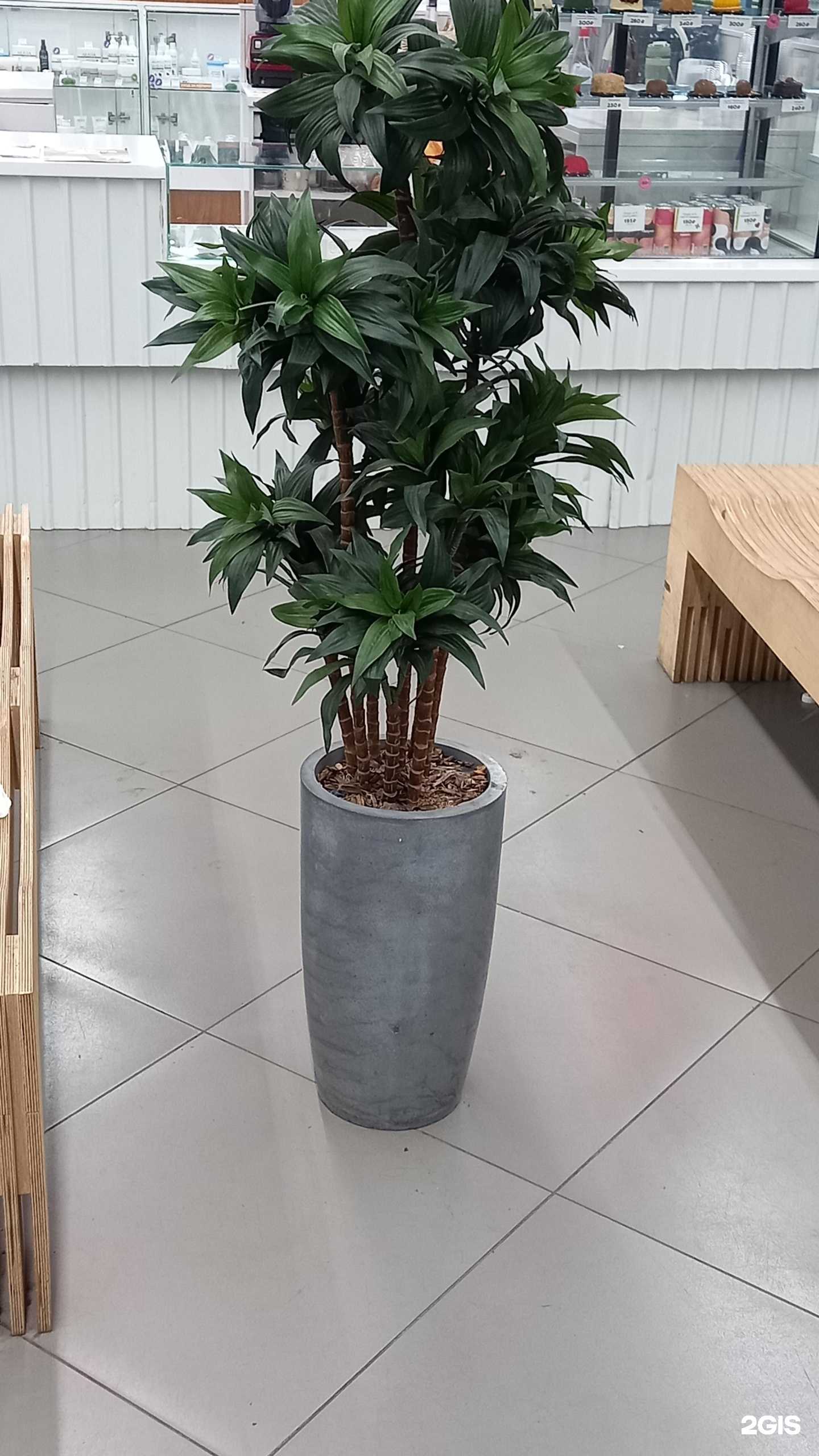 Отзывы на компанию Frolenko.design в г. Артём c фото