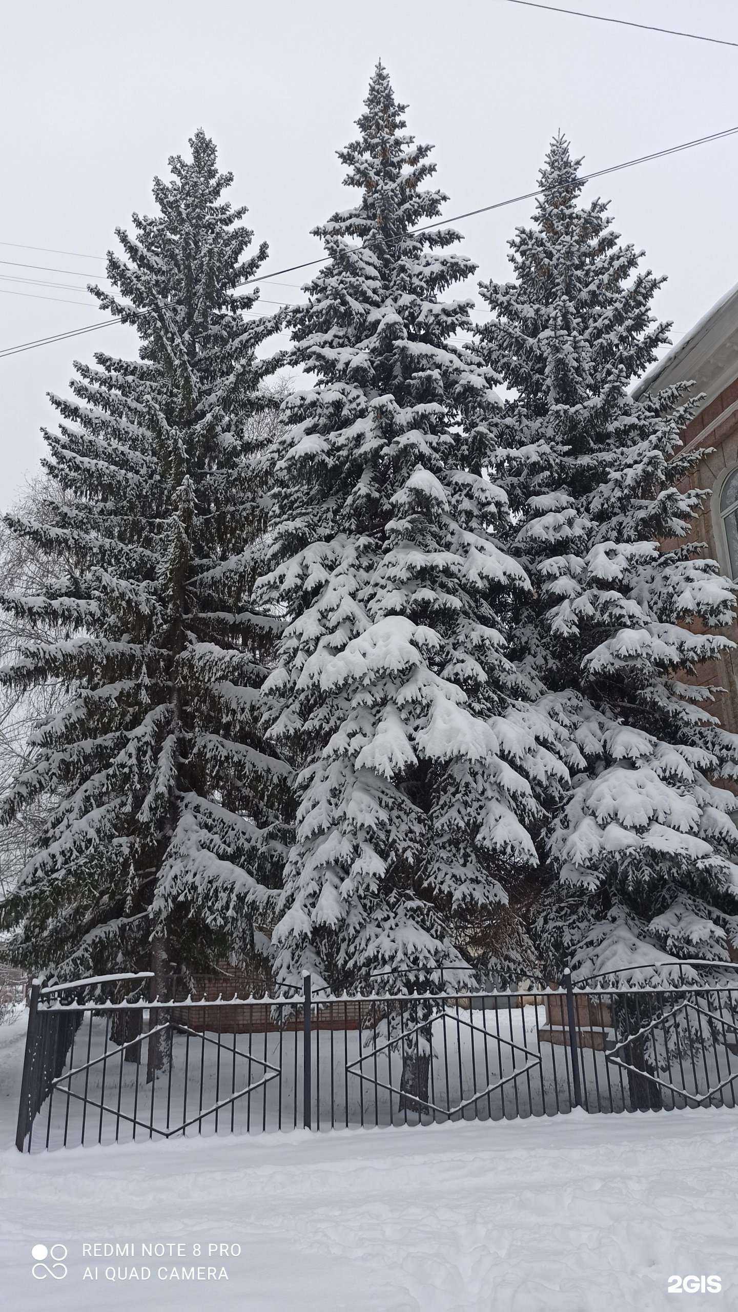 Отзывы на компанию Заря в г. Ишимбай c фото