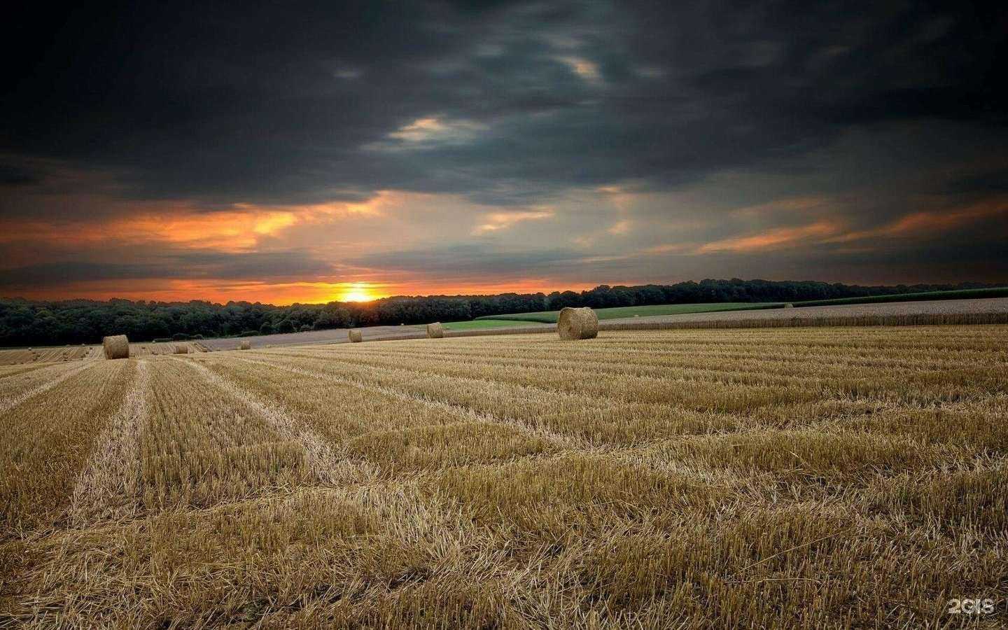 Отзывы на компанию Benefyt в Якутске c фото