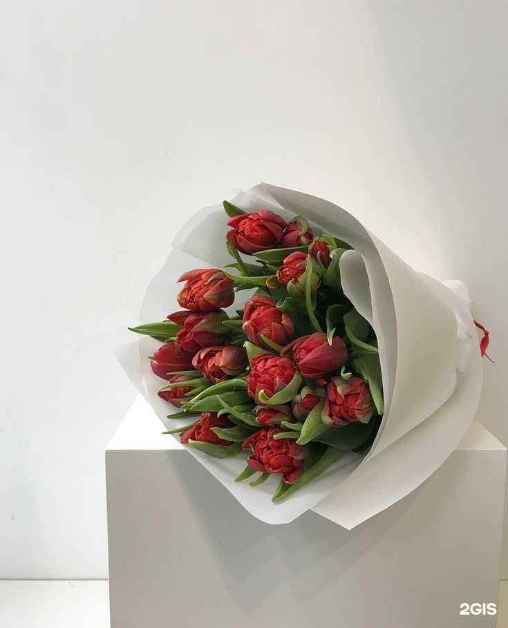 Отзывы на компанию Royal Rose в Омске c фото