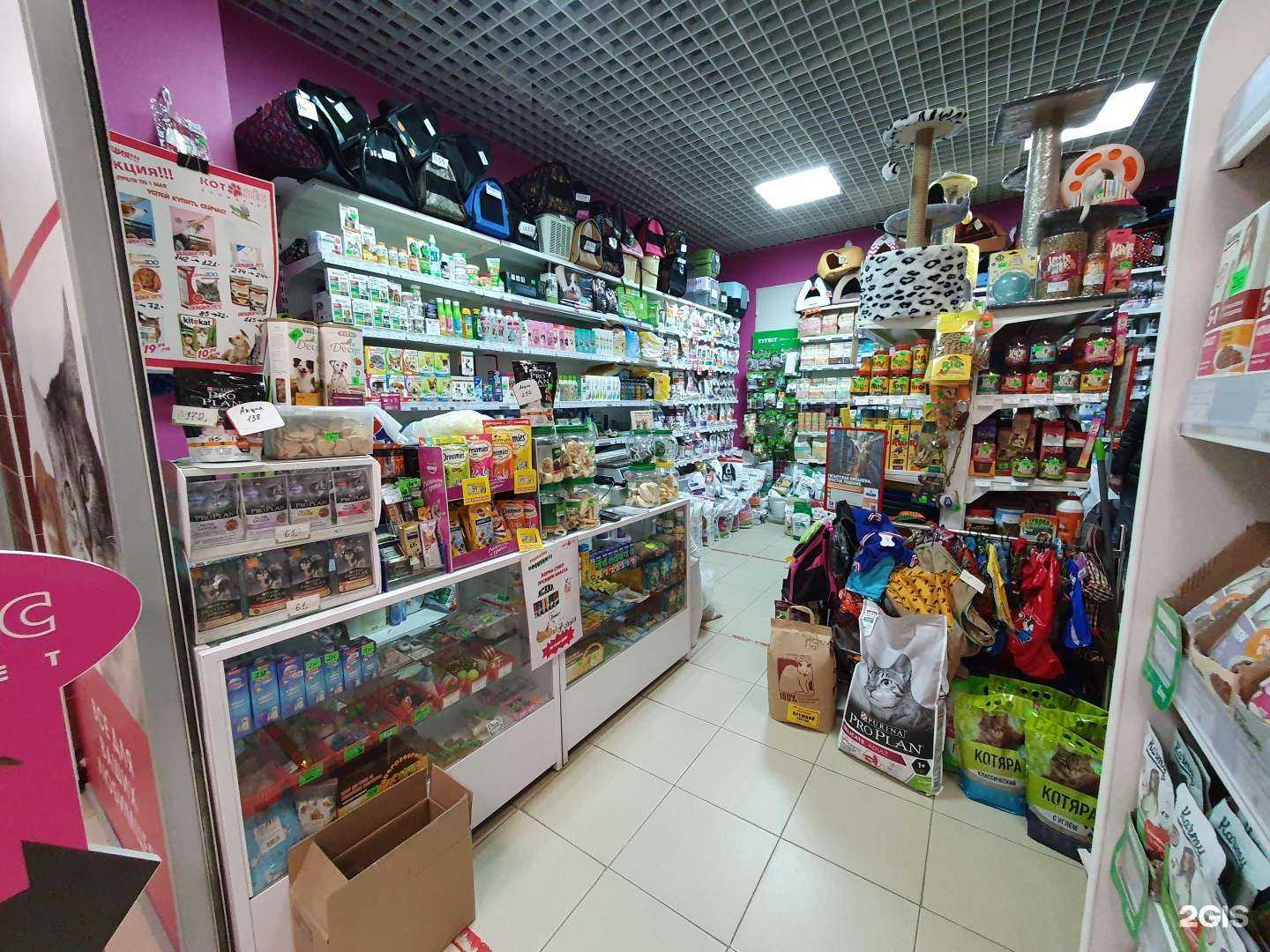 Отзывы на компанию Котопёс в Саратове c фото