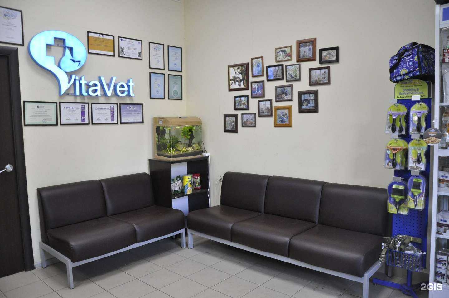 Отзывы на компанию ВитаВет в г. Саратов c фото