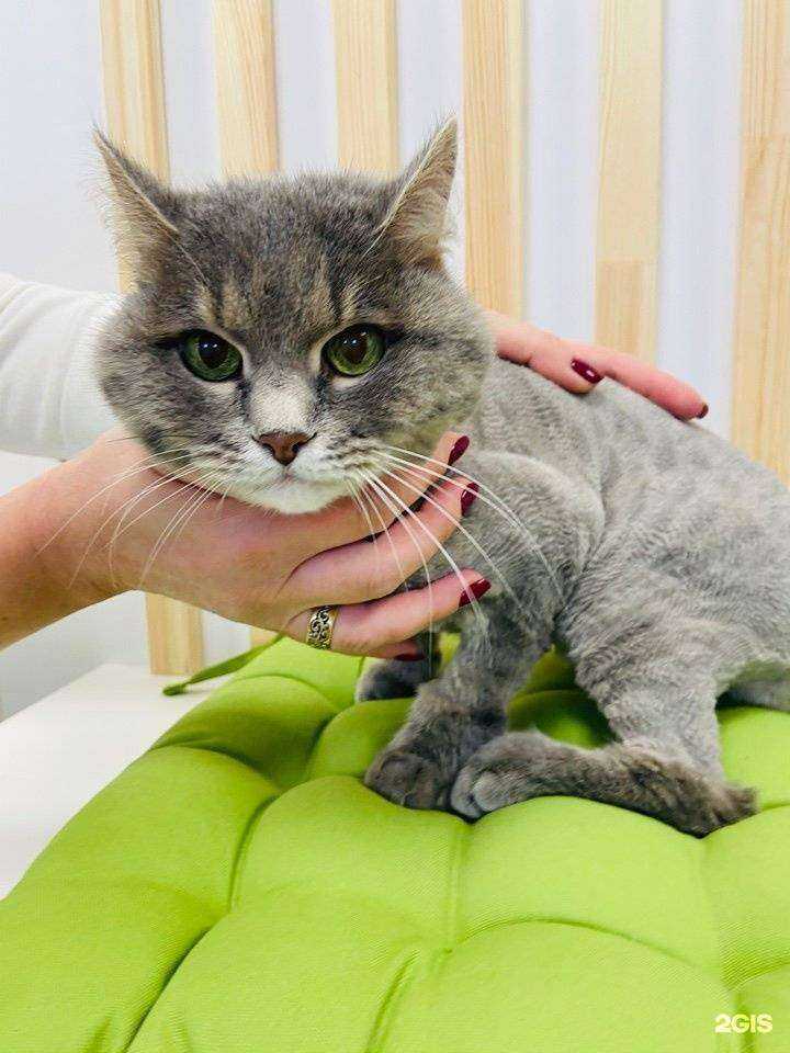 Отзывы на компанию Совсем как дома в Челябинске c фото