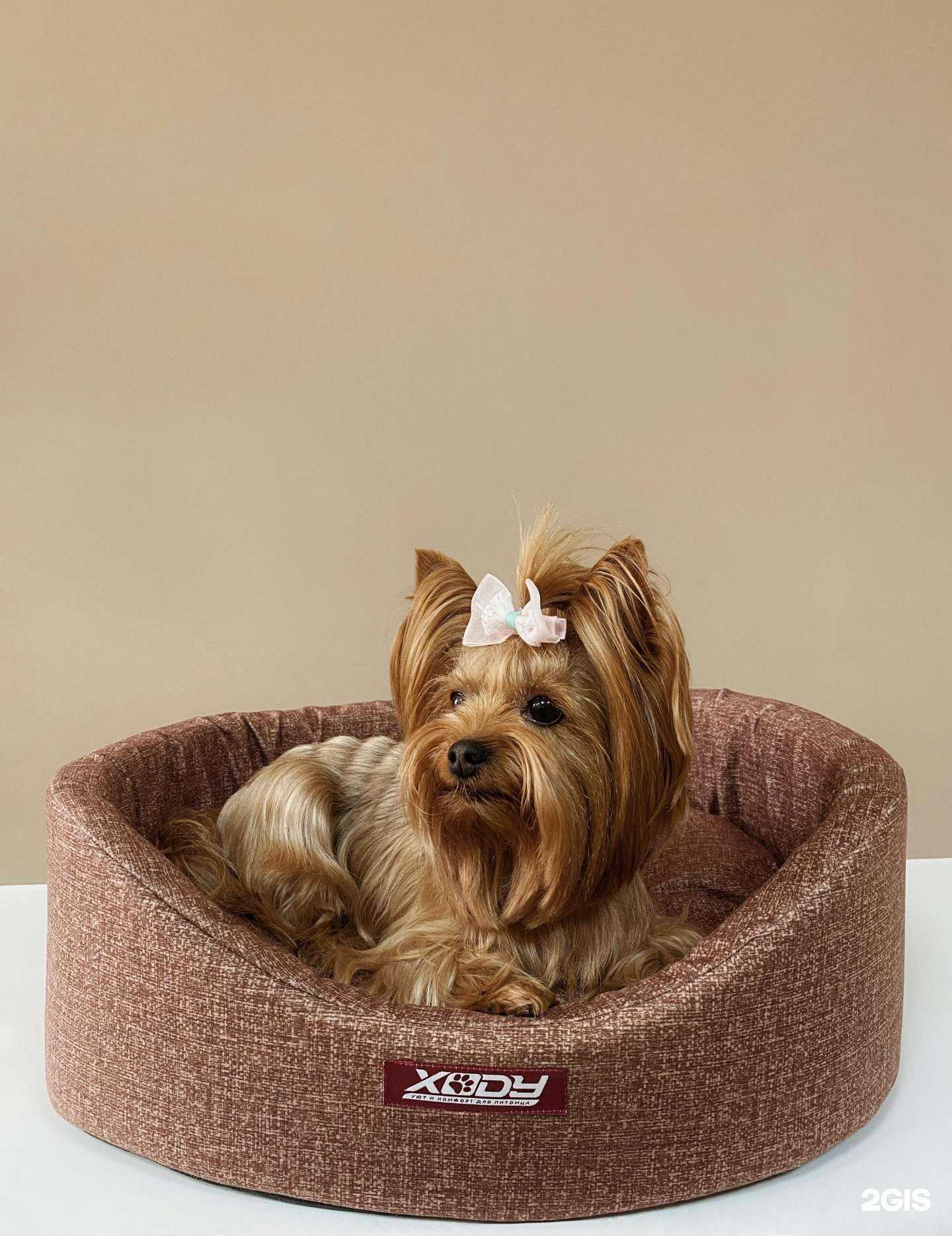 Отзывы на компанию Дома ждут в г. Кызыл c фото