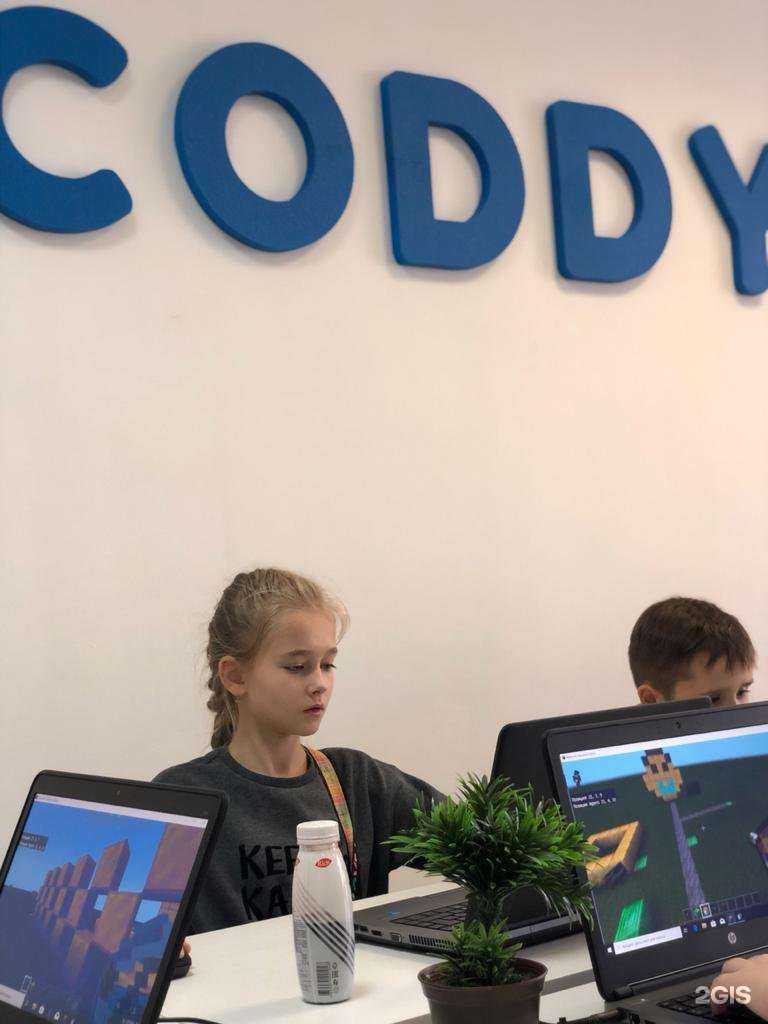 Отзывы на компанию CODDY в Ставрополе c фото