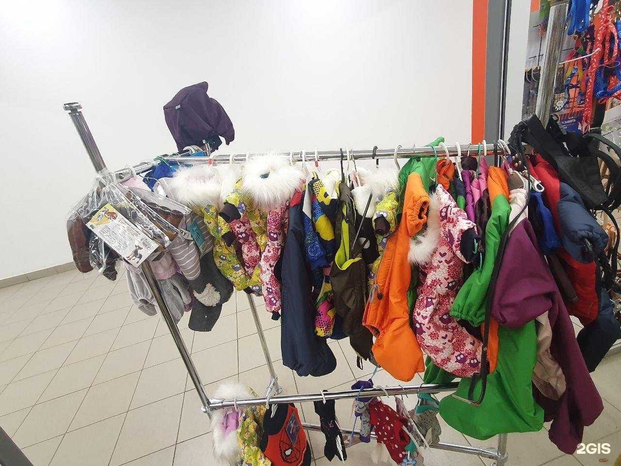 Отзывы на компанию КотоПес в г. Златоуст c фото