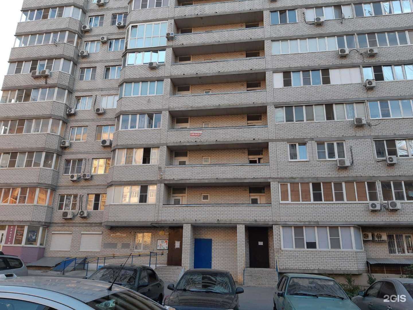 Отзывы на компанию Барсик в Ростове-на-Дону c фото - фотография 2 из 2