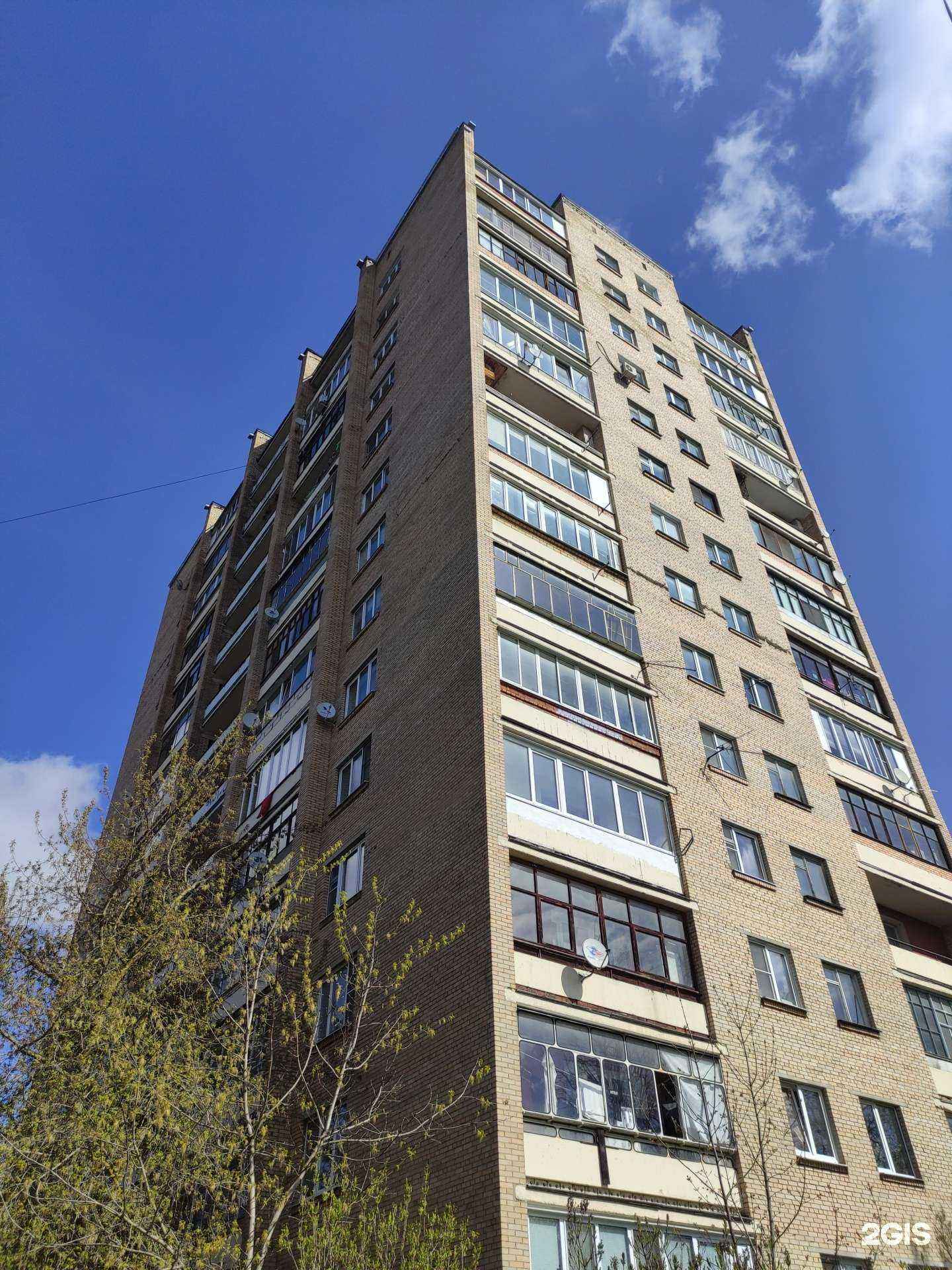 Отзывы на компанию Diodonis в Истре c фото - фотография 2 из 2